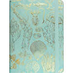 Peter Pauper Press Mid-Size Journal: Sealife Sketches
