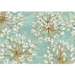 Peter Pauper Press Boxed Note Cards: Allium Blossoms