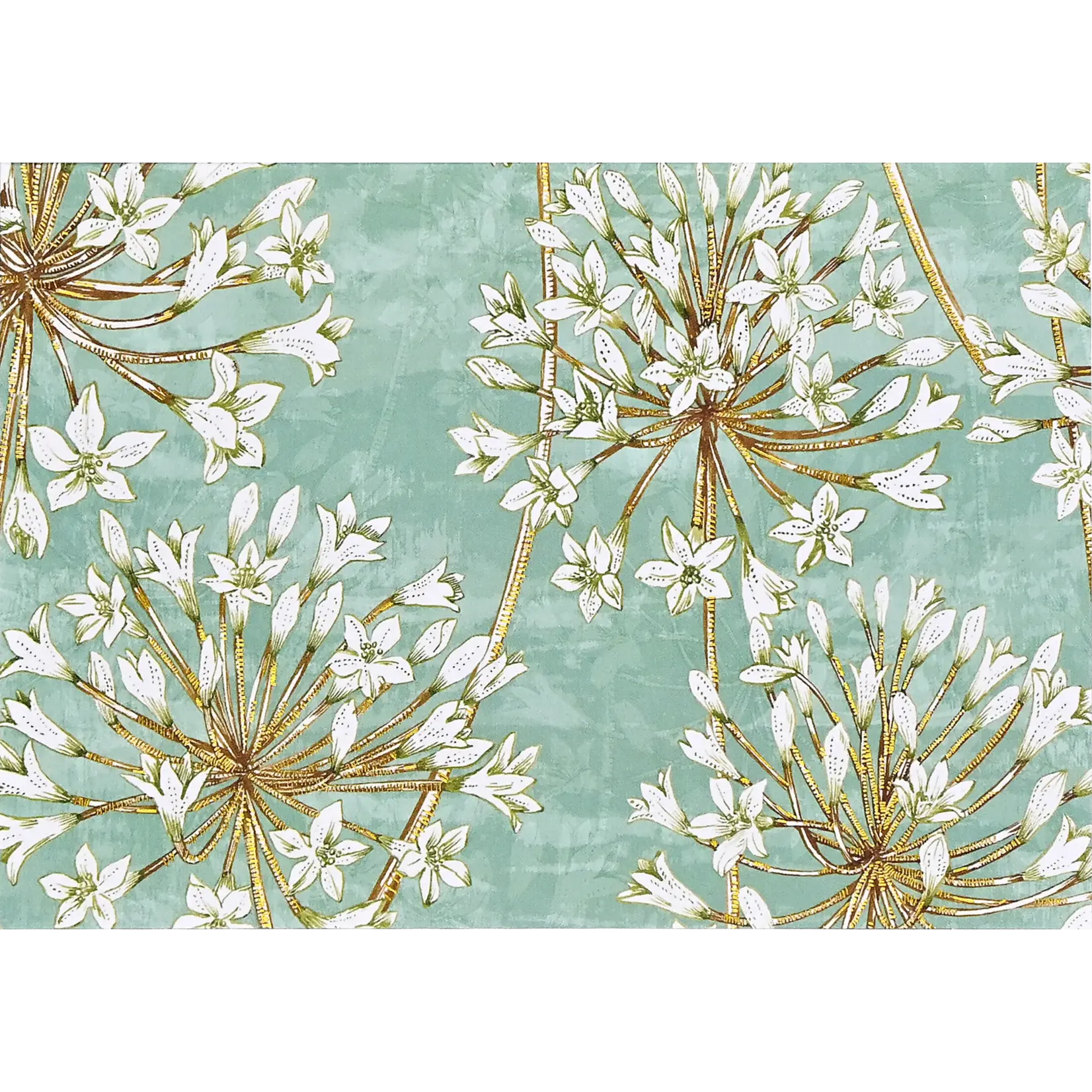 Peter Pauper Press Boxed Note Cards: Allium Blossoms