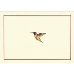 Peter Pauper Press Boxed Note Cards: Hummingbird Flight