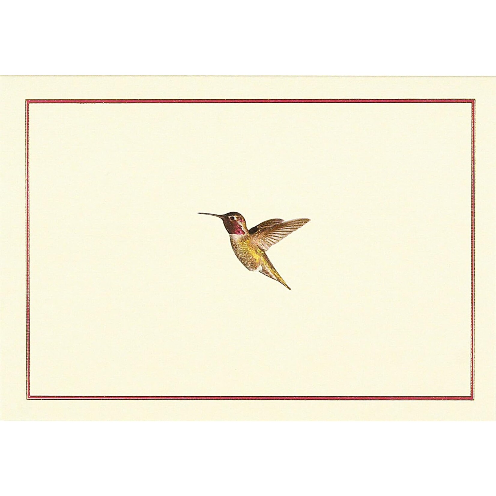 Peter Pauper Press Boxed Note Cards: Hummingbird Flight
