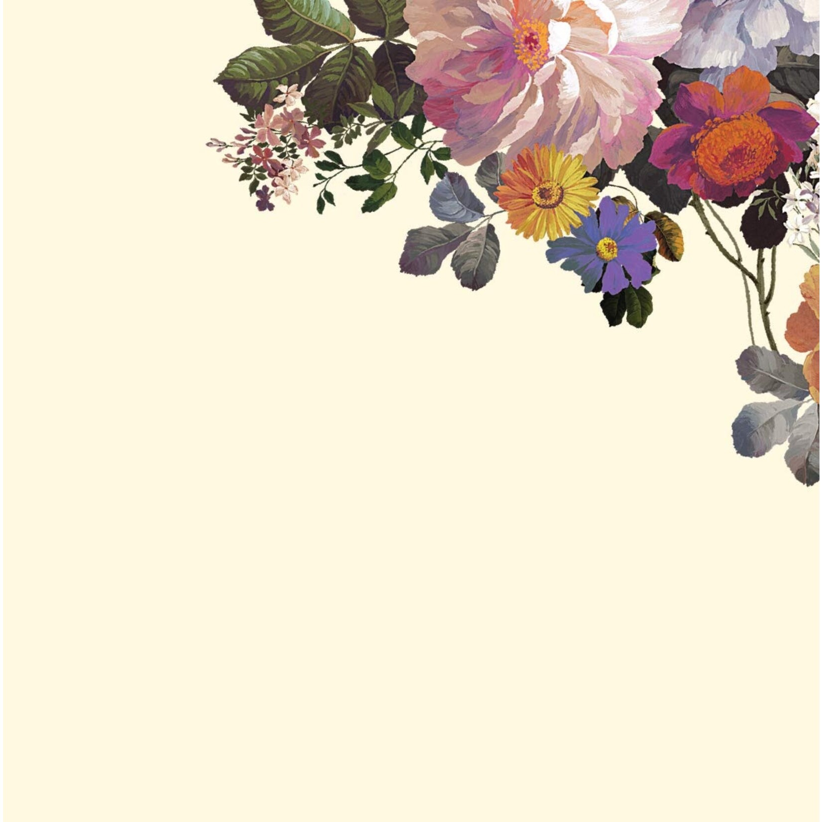 Peter Pauper Press Desk Notes: Midnight Floral