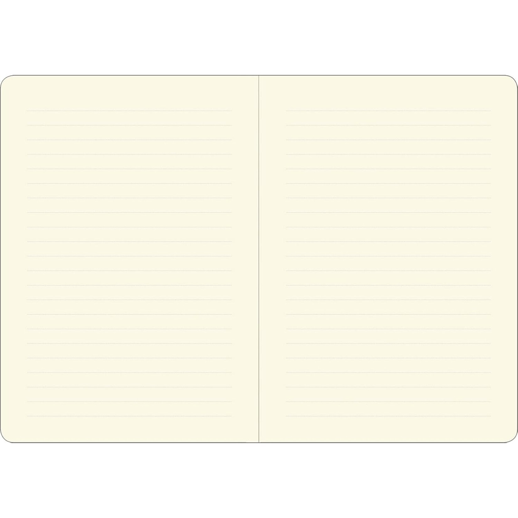 Peter Pauper Press Mid-Size Journal: Sea Turtles