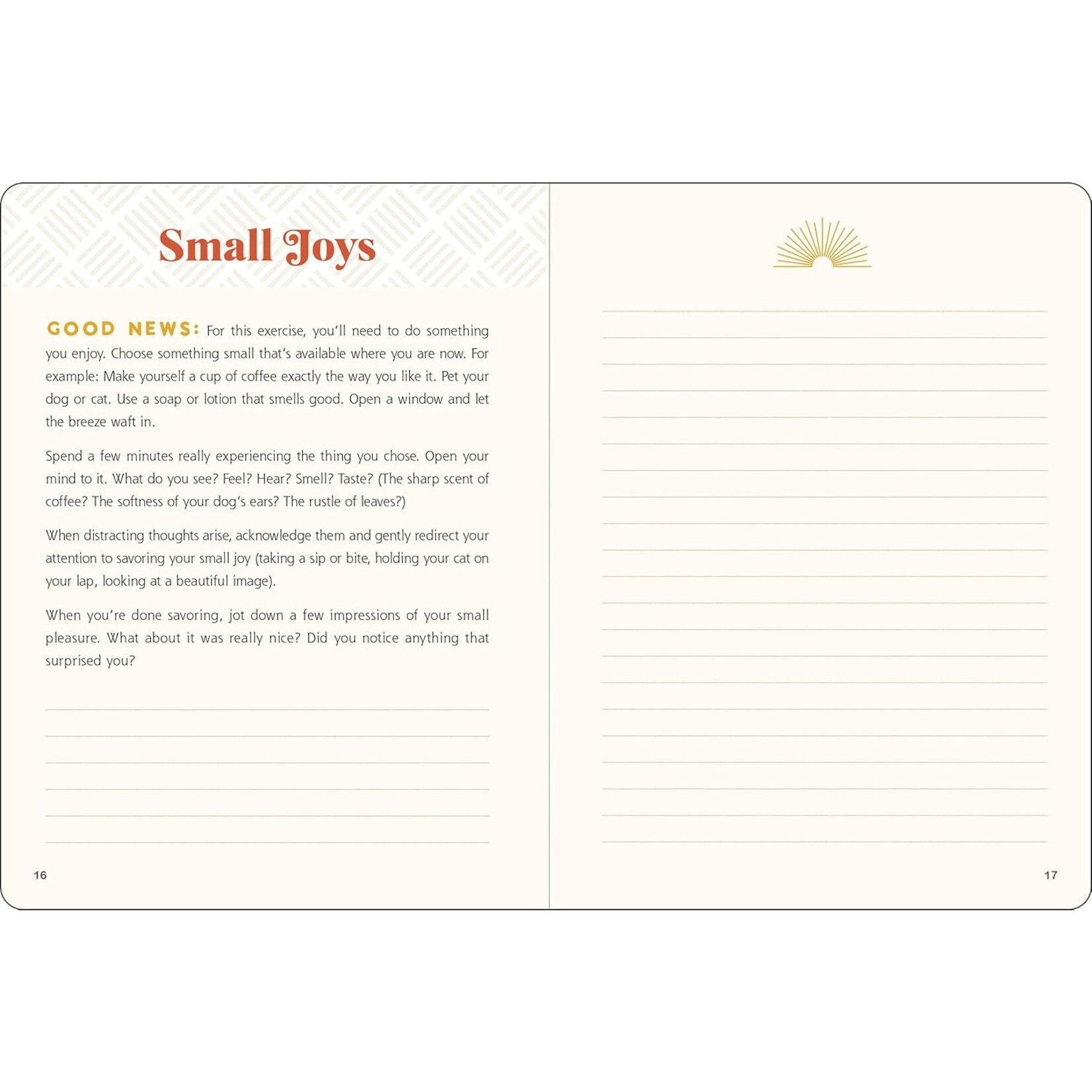 Peter Pauper Press Positive Thinking Interactive Journal
