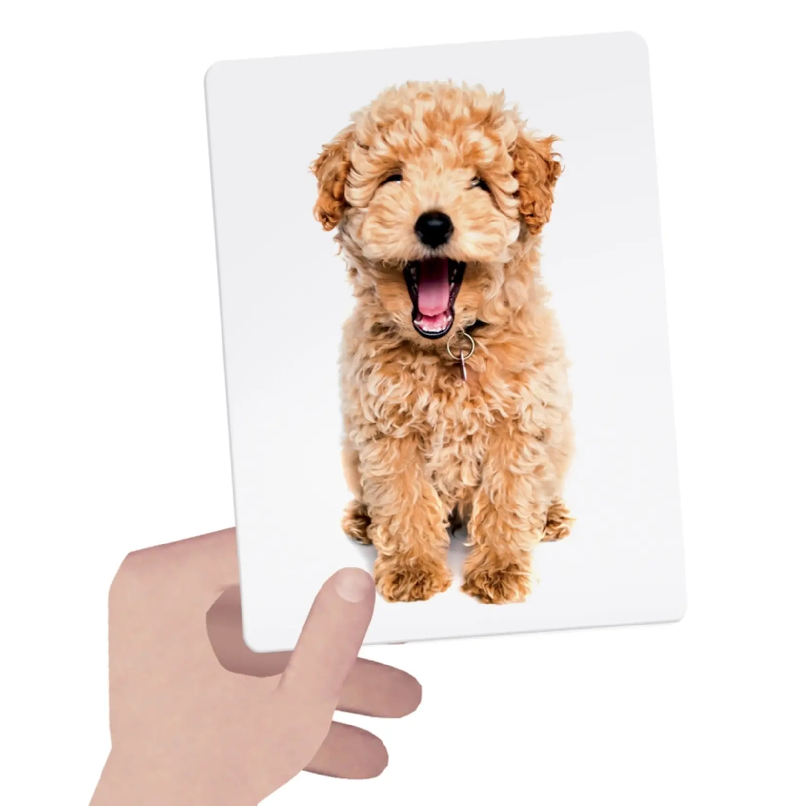 Tactile Flash Cards Montessori - Educational Toddler Toy