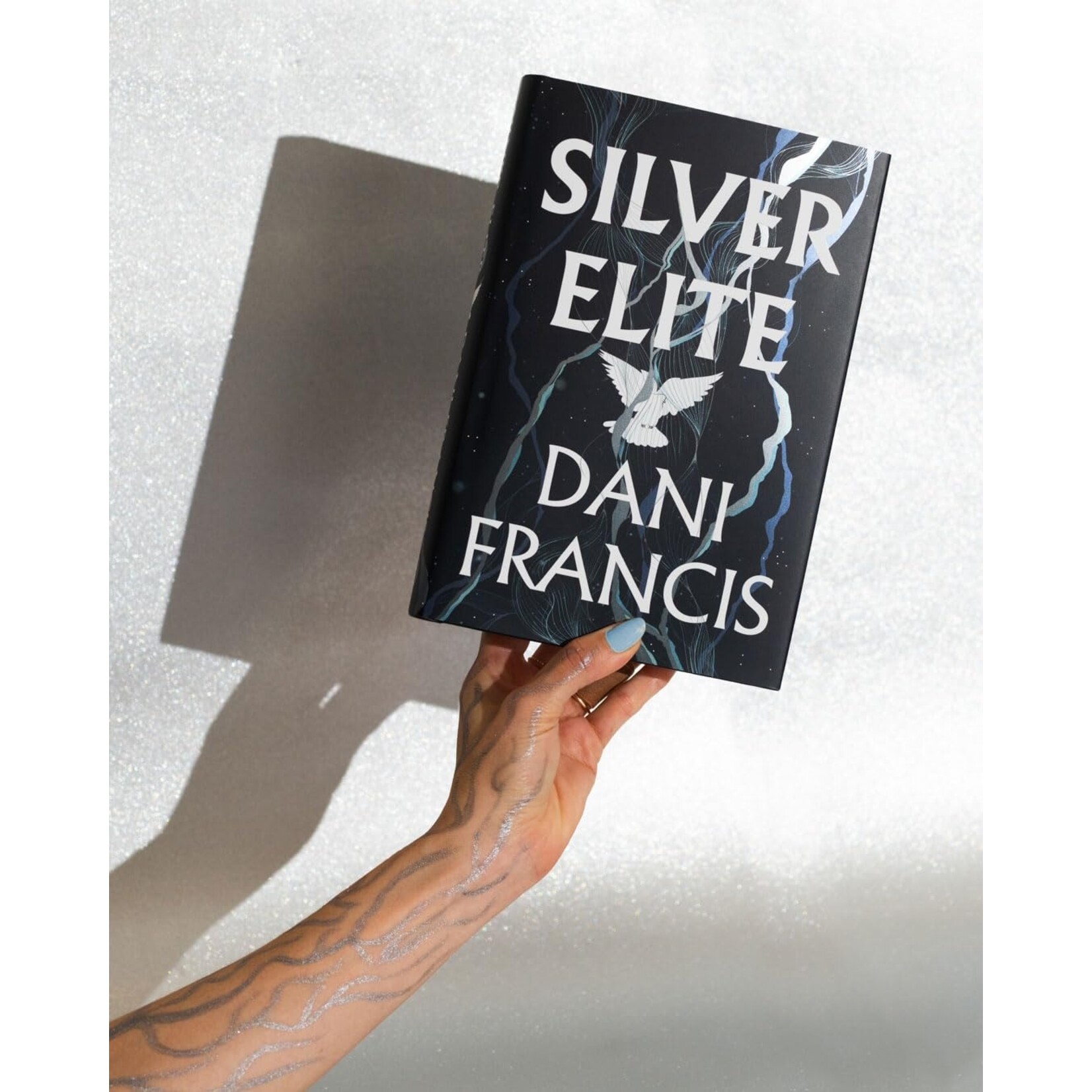 Silver Elite (Book #1)