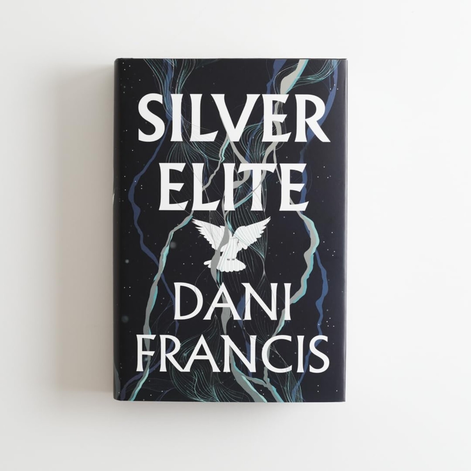 Silver Elite (Book #1)