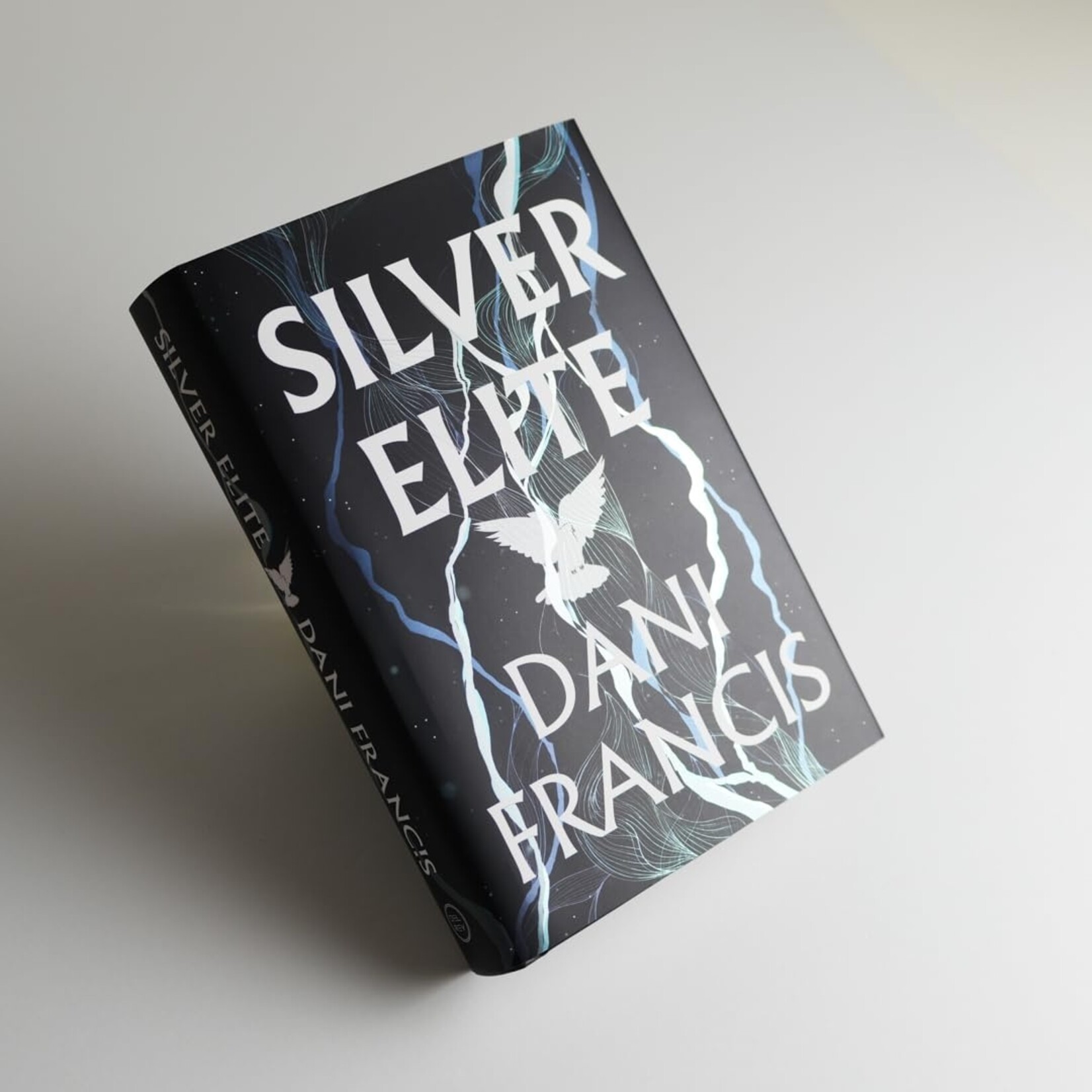 Silver Elite (Book #1)