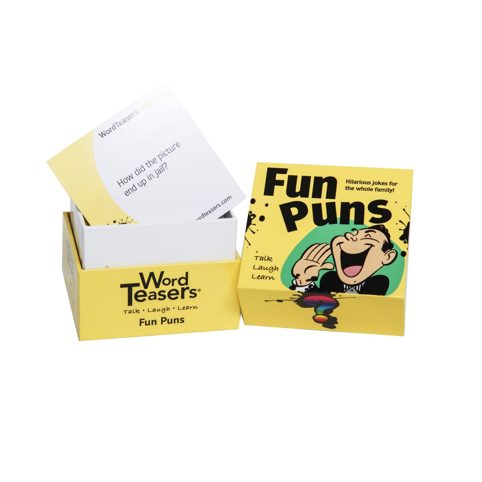 Fun Puns WordTeasers 7+