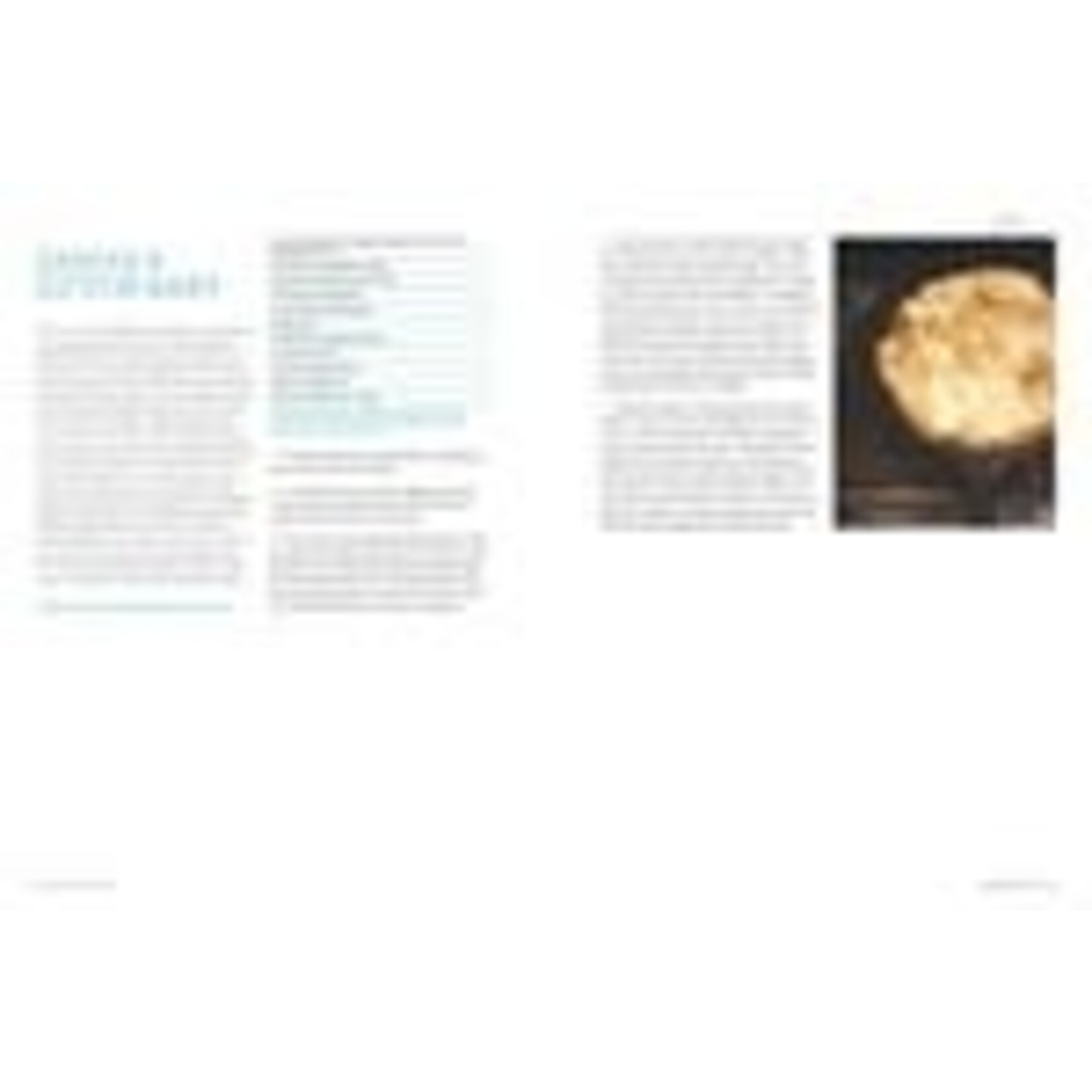Flour, Too: Indispensable Recipes for the Cafe's Most Loved Sweets & Savories