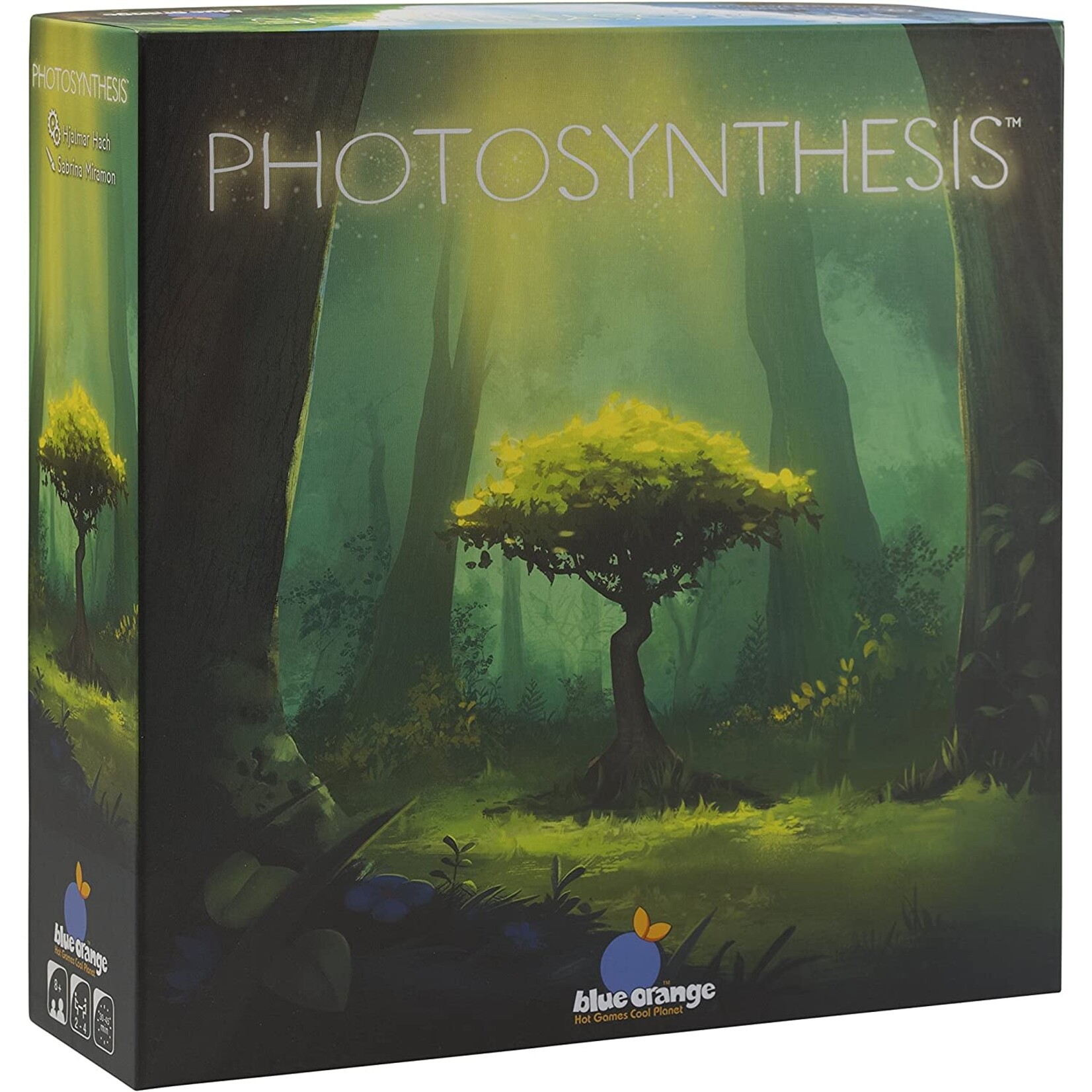 Photosynthesis (8+)