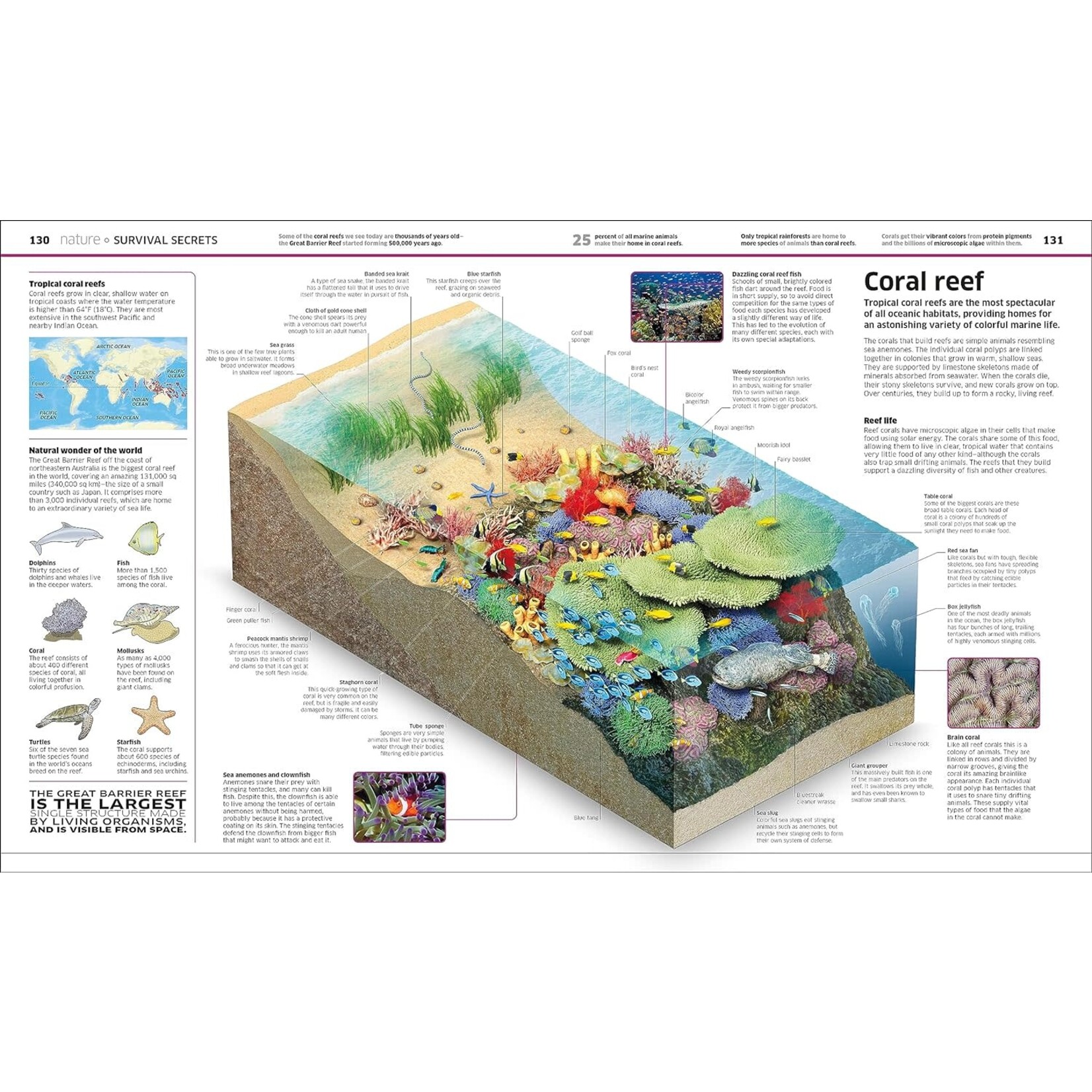 Knowledge Encyclopedia: The World as You've Never Seen it Before