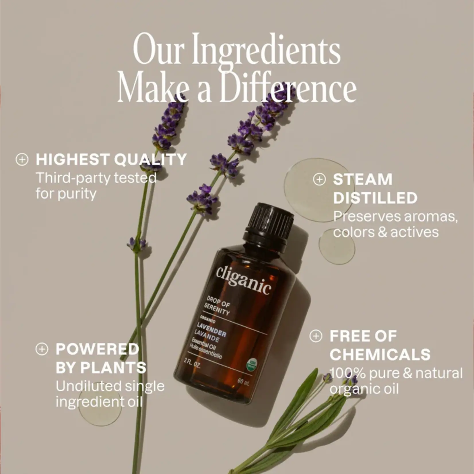 Essential Oils Singles - Organic Lavender Oil 10ml