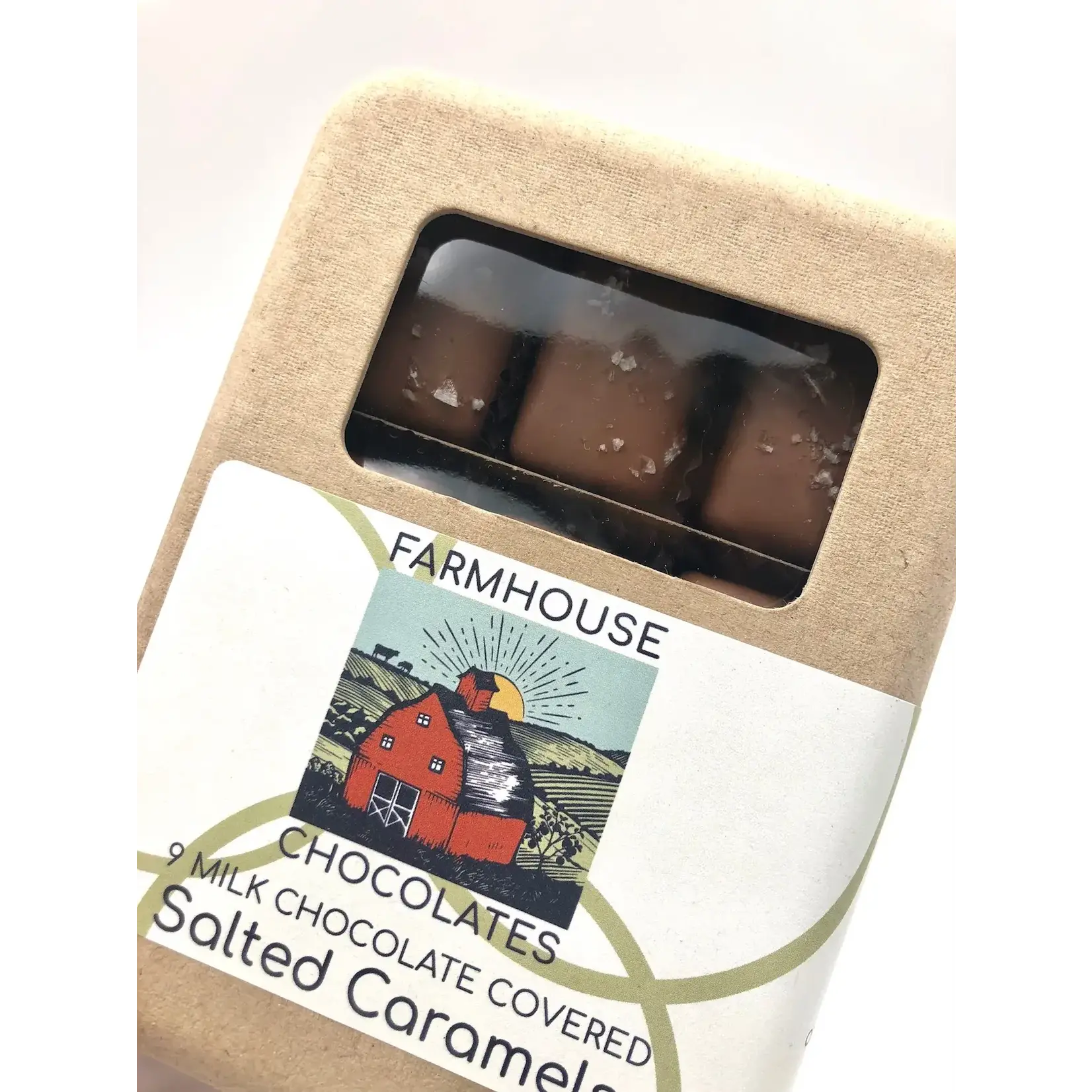 9 Piece Milk Chocolate Covered Salted Caramels