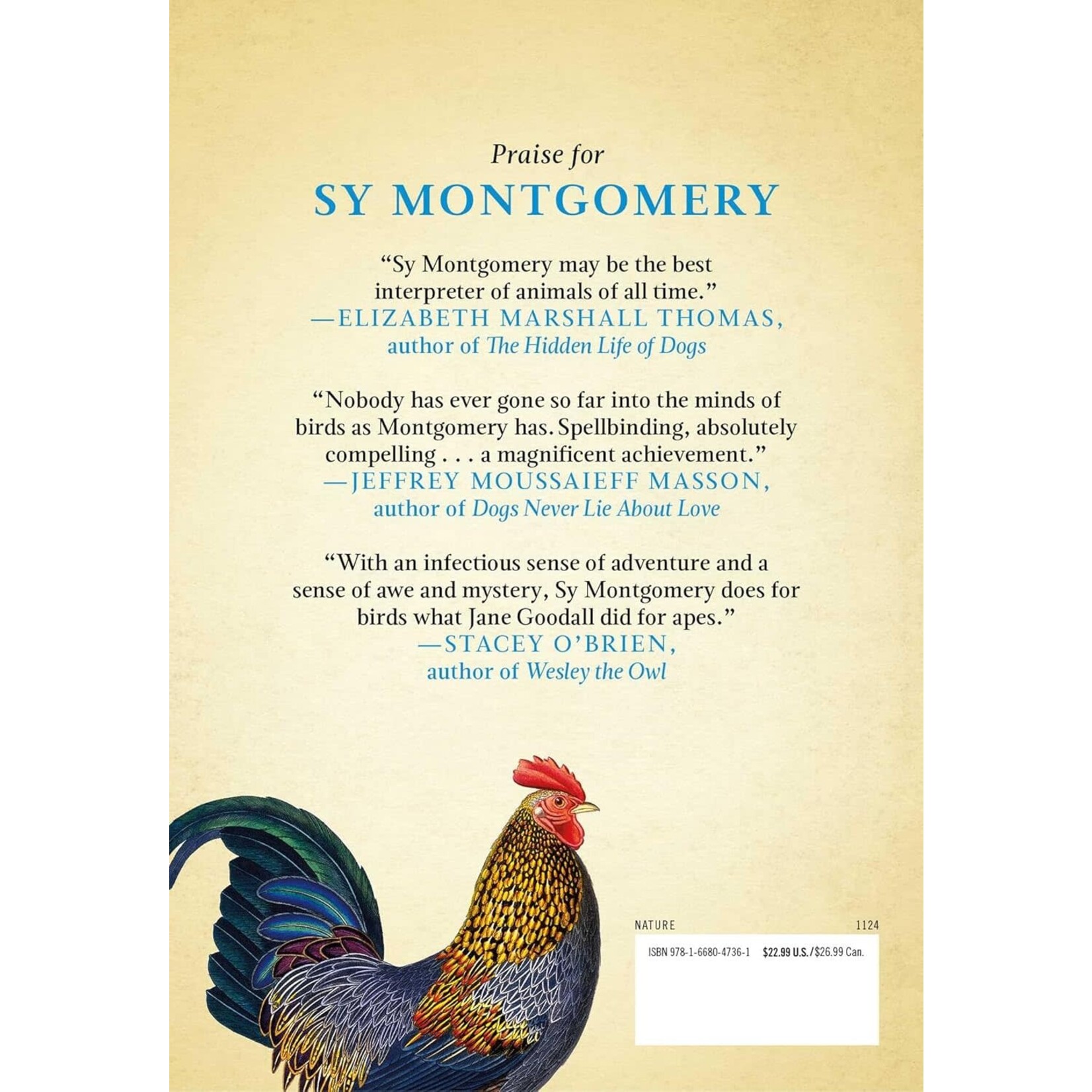 What the Chicken Knows: A New Appreciation of the World's Most Familiar Bird