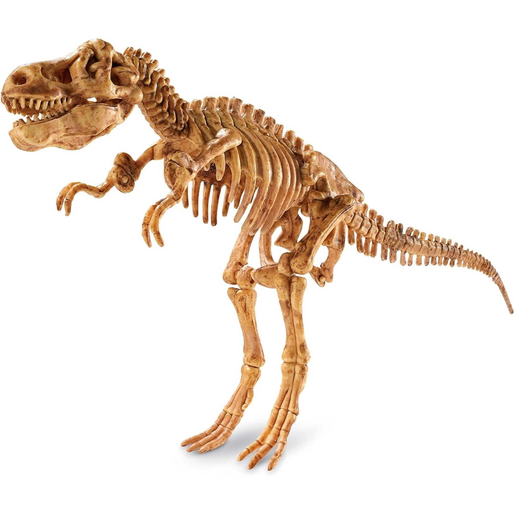 Dig It Up!: Tyrannosaurus Rex