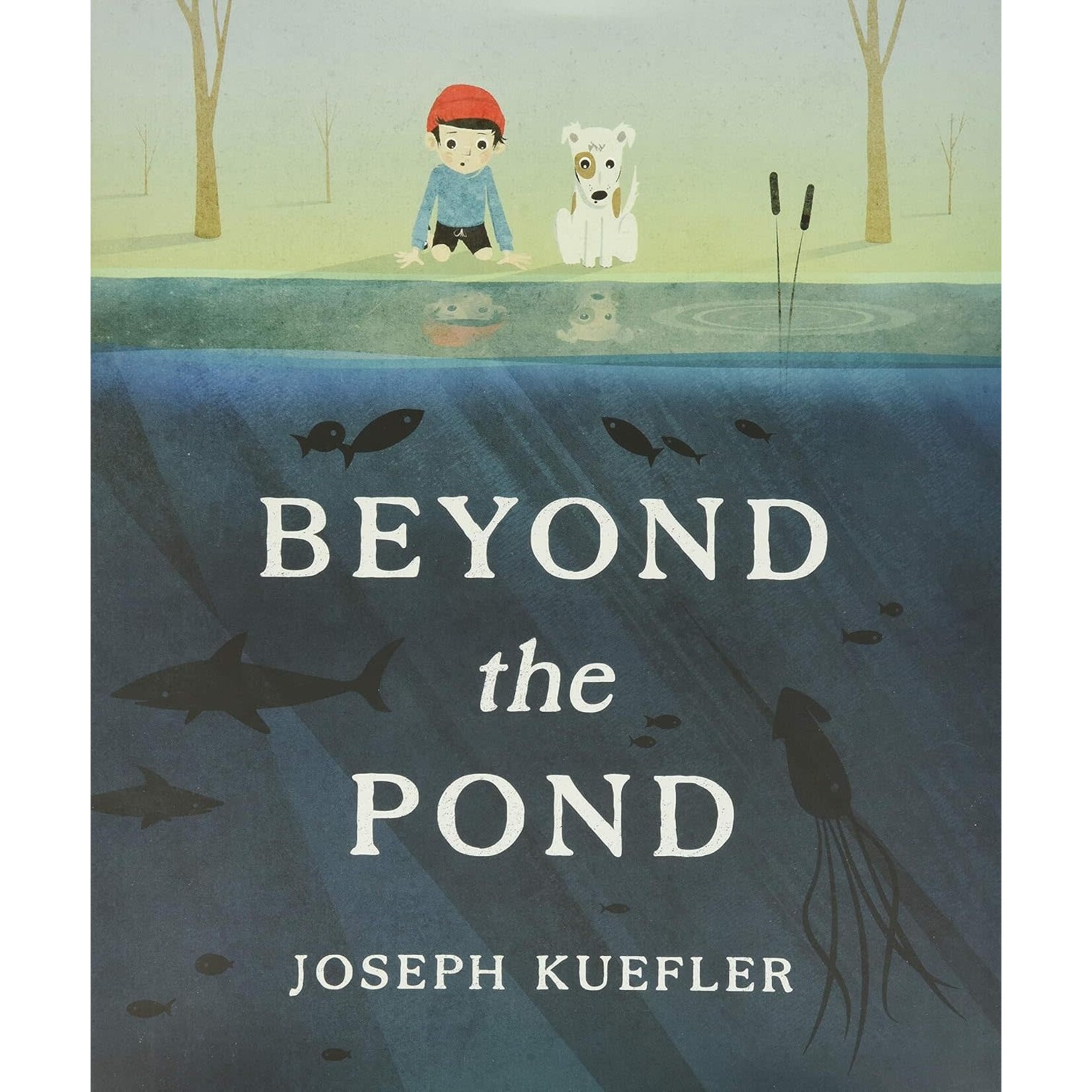 Beyond the Pond
