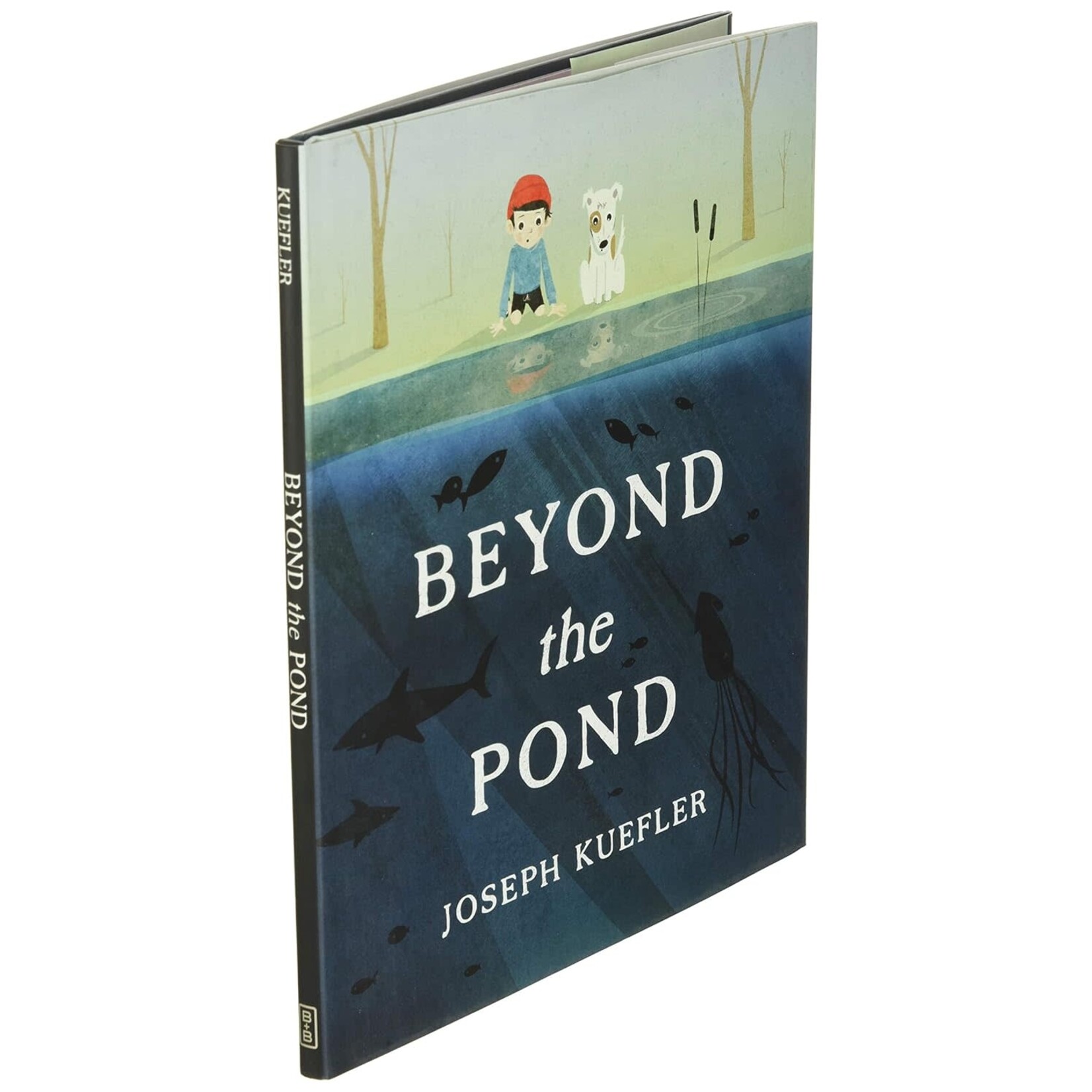 Beyond the Pond