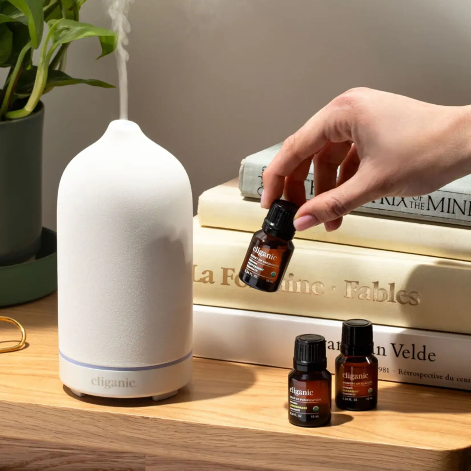 Essential Oils Singles - Organic Lemongrass Oil 10ml