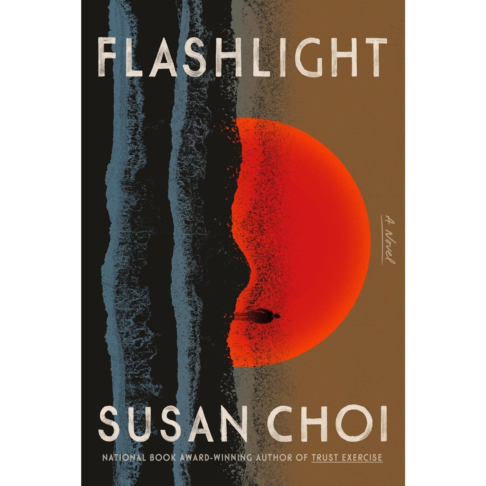 Flashlight: A Novel