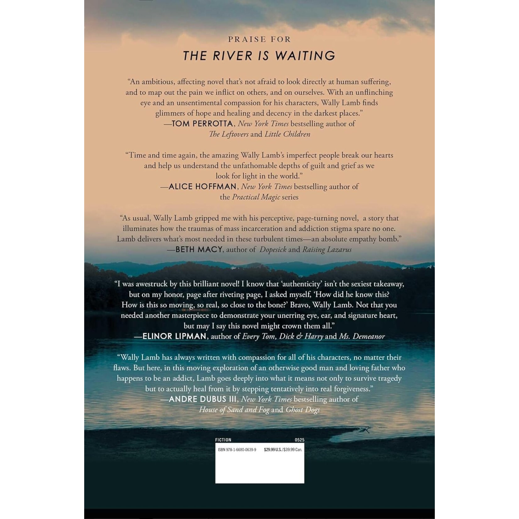 The River Is Waiting: A Novel