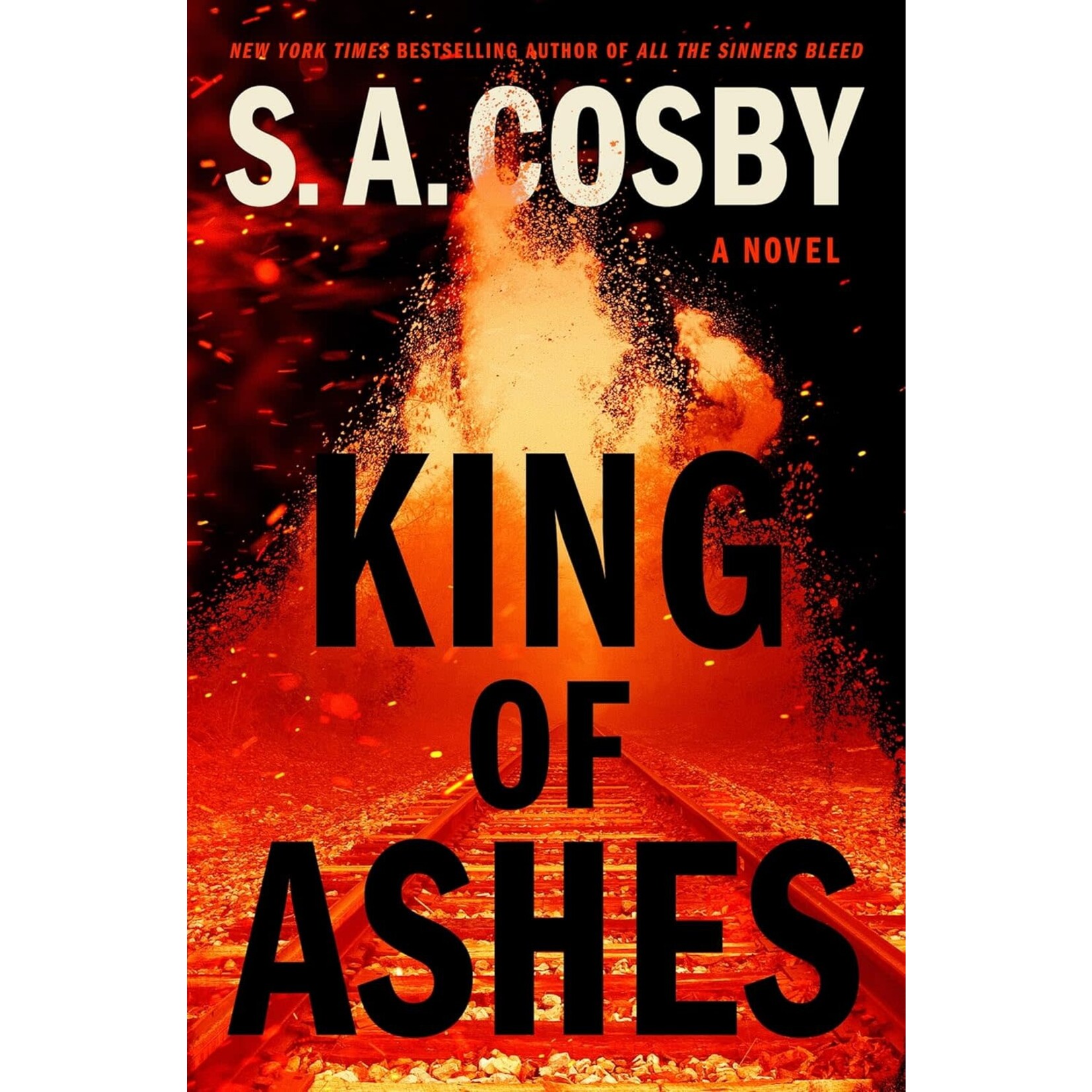 King of Ashes: A Novel
