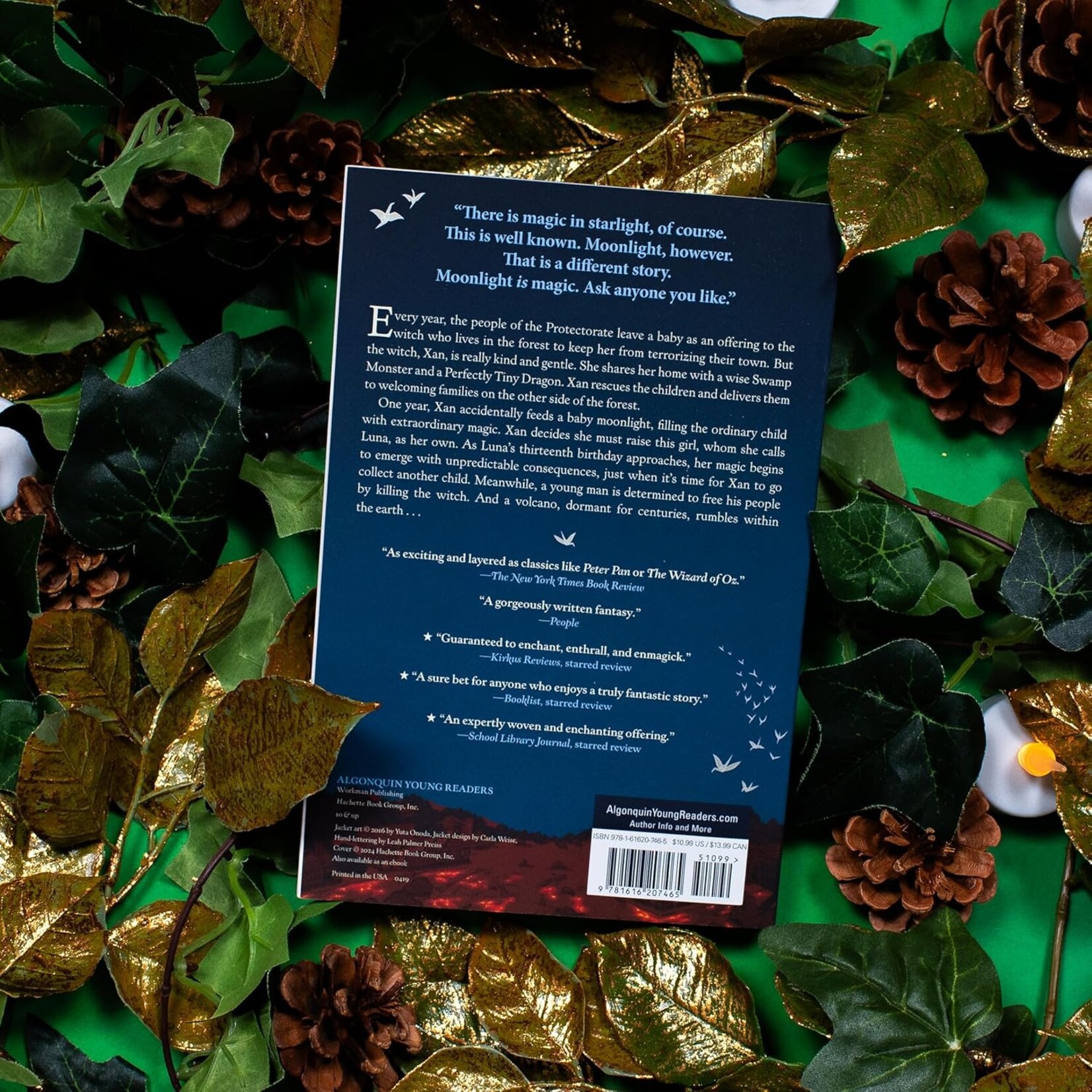 Little Brown Books for Young Readers The Girl Who Drank the Moon