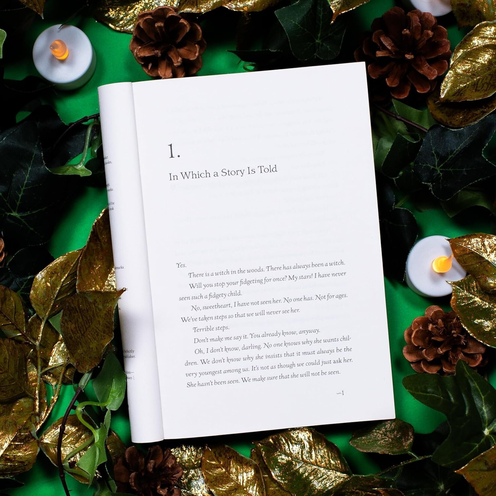 The Girl Who Drank the Moon