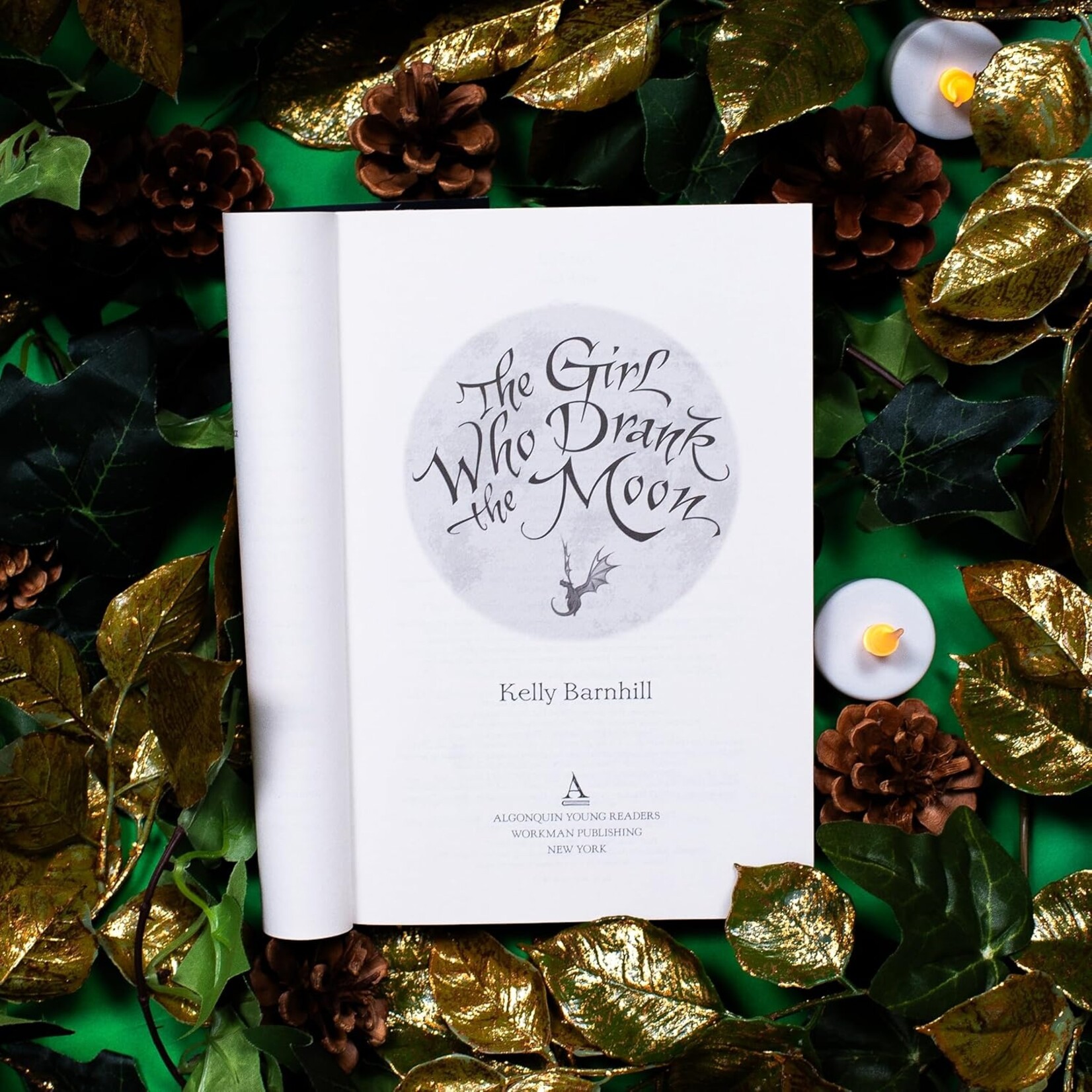 Little Brown Books for Young Readers The Girl Who Drank the Moon