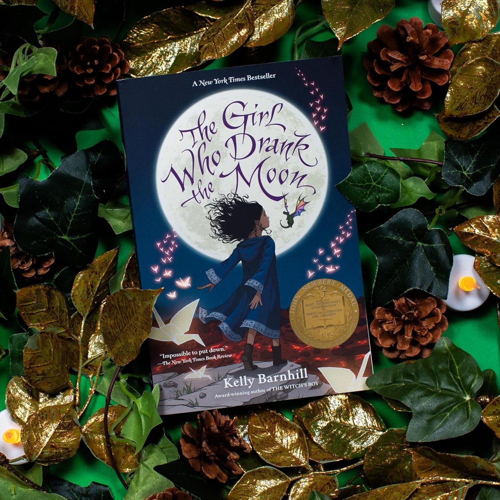 Little Brown Books for Young Readers The Girl Who Drank the Moon