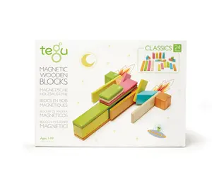 Tints - 24-Piece Set Magnetic Wooden Blocks - Maxima Gift and Book
