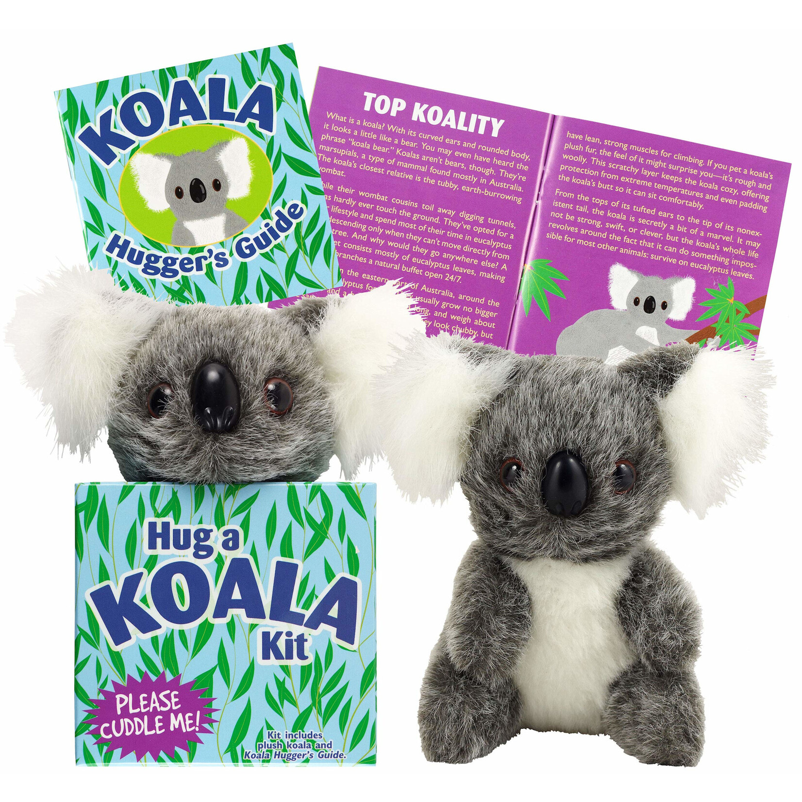 Peter Pauper Press Hug a Koala Kit