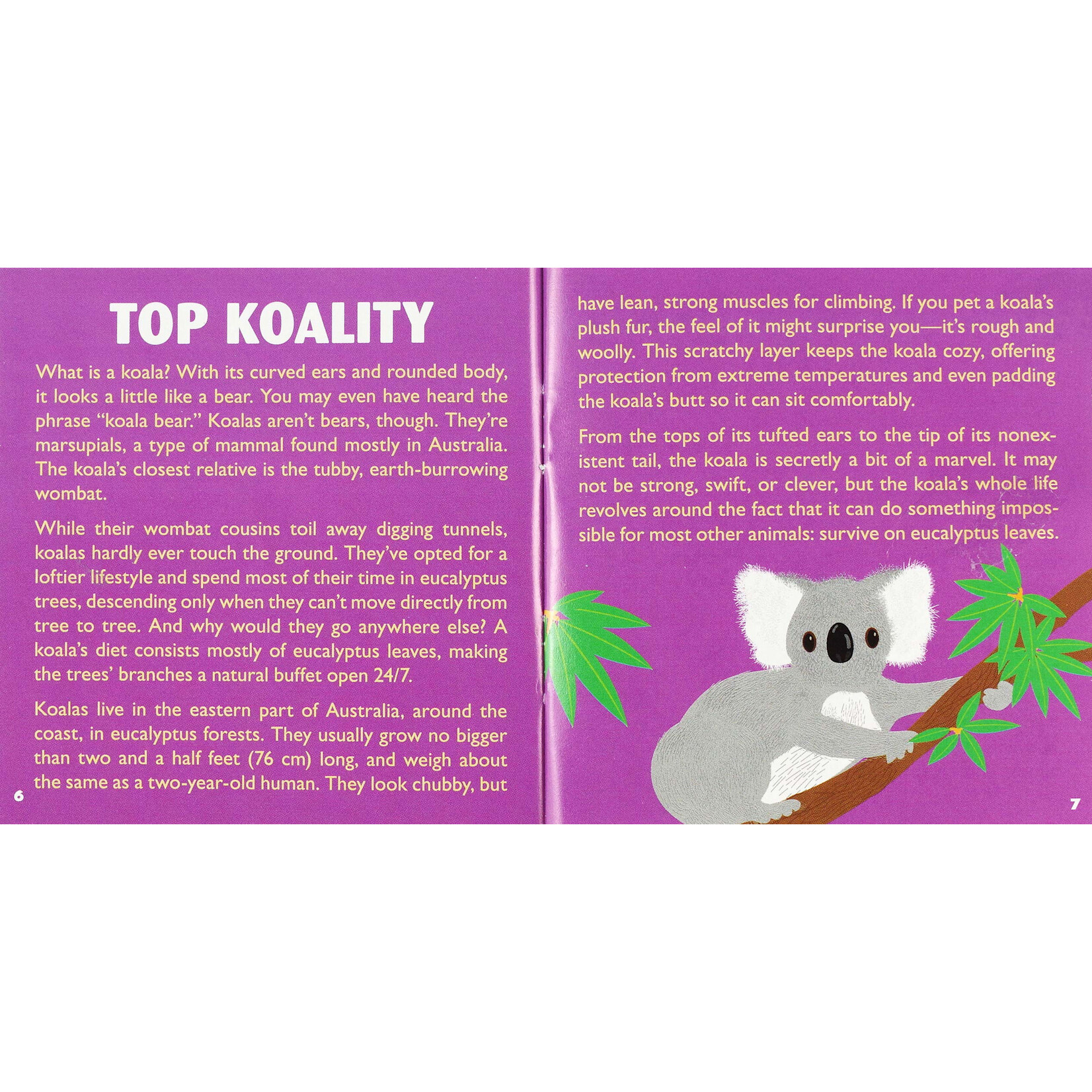 Peter Pauper Press Hug a Koala Kit