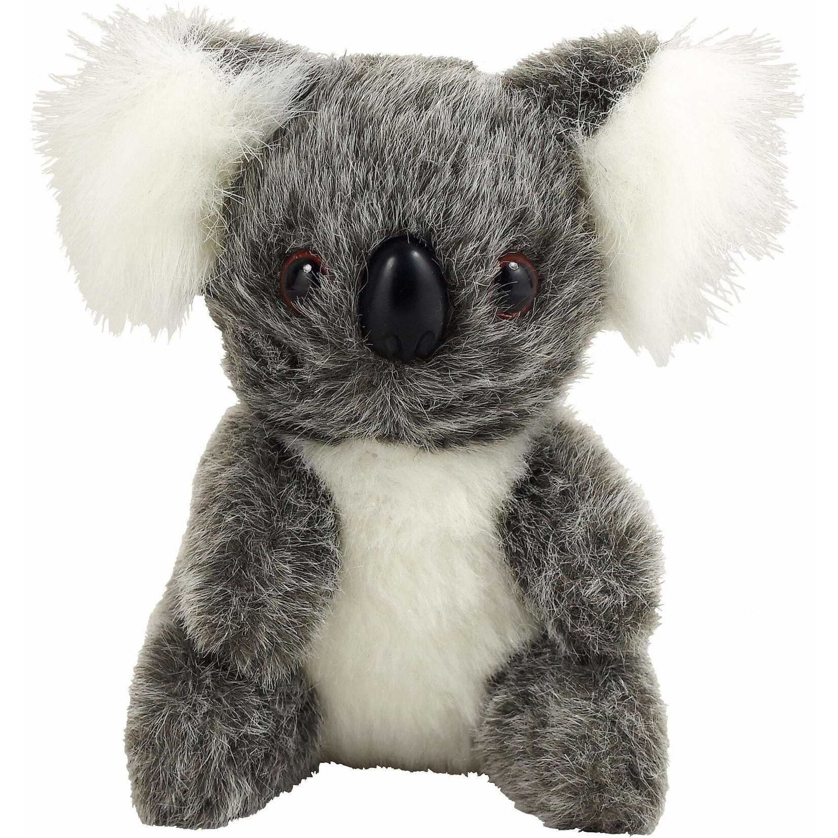 Peter Pauper Press Hug a Koala Kit