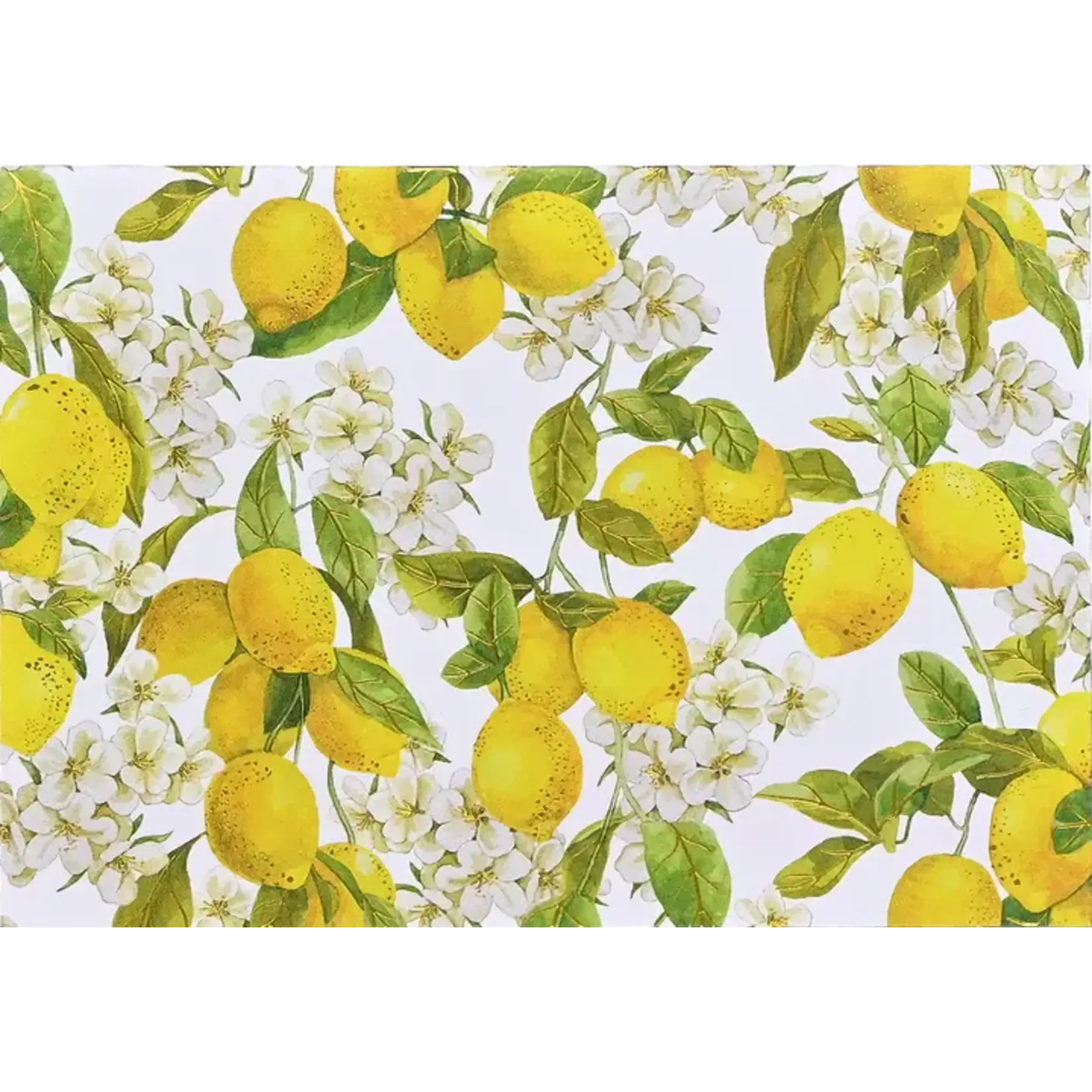 Peter Pauper Press Amalfi Lemons Note Cards