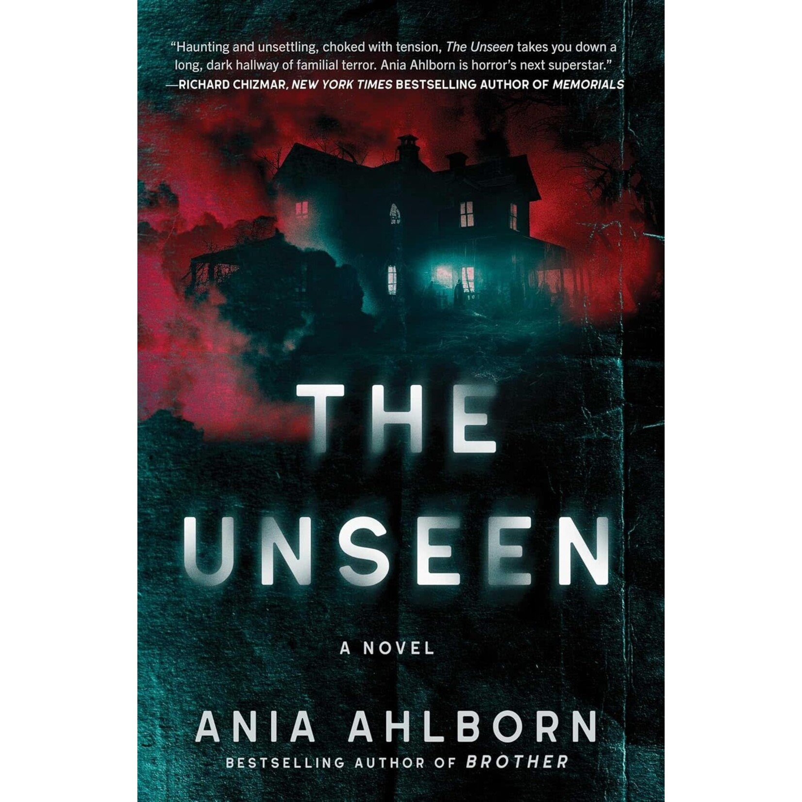 The Unseen: A Novel