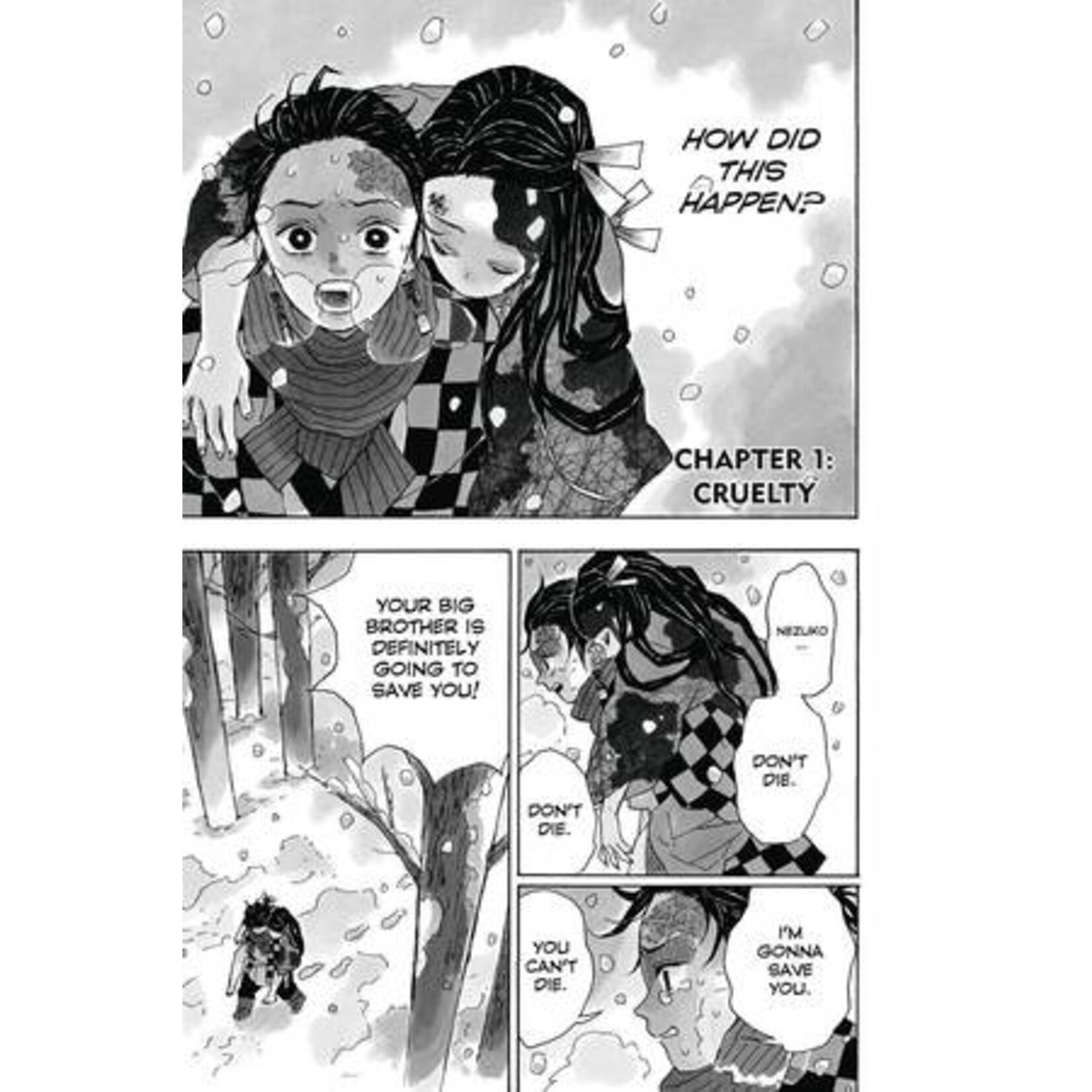 Demon Slayer: Kimetsu no Yaiba, Vol. 1
