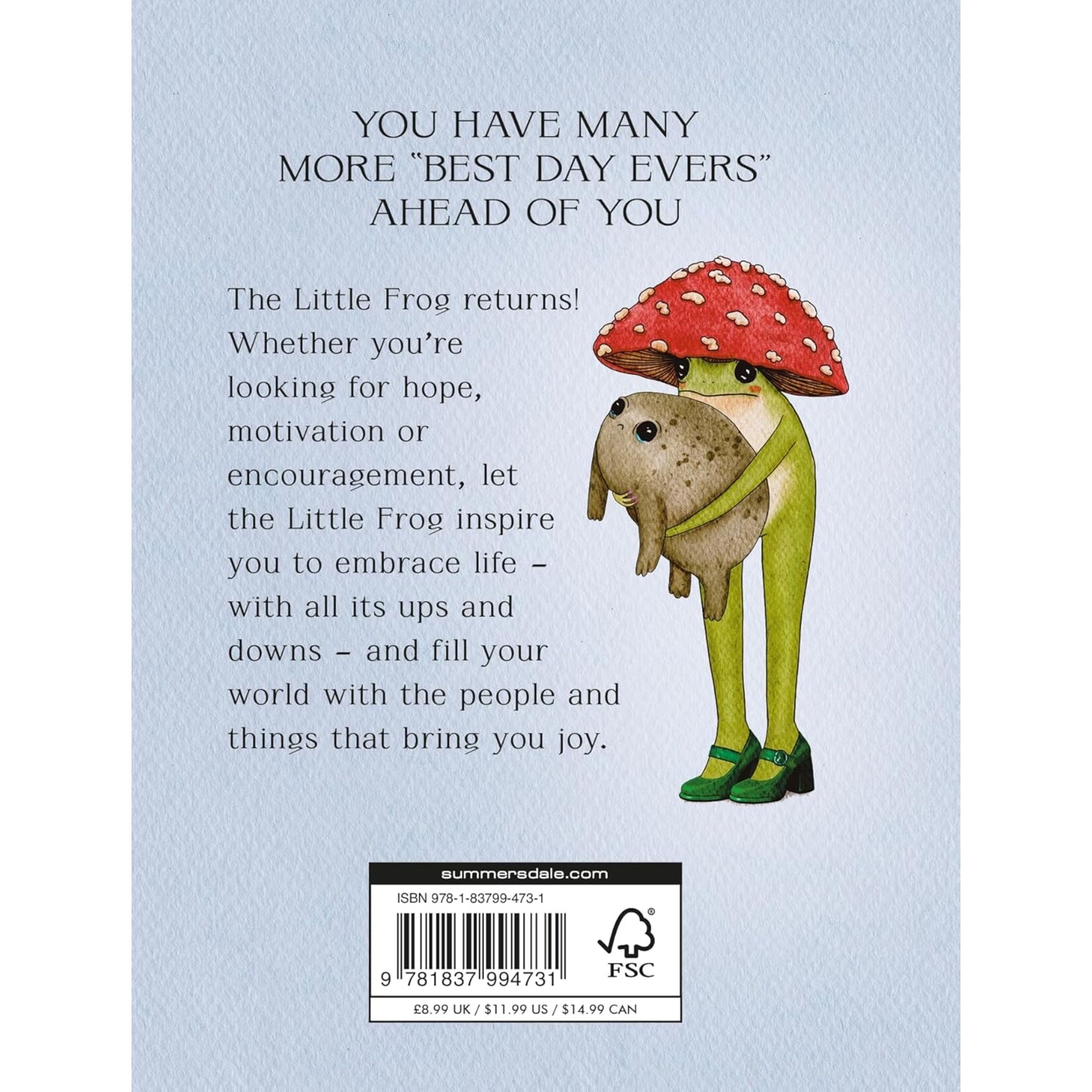 The Little Frog's Guide to Life: Love, Advice and Inspiration for Every Day from the Internet’s Beloved Mushroom Frog