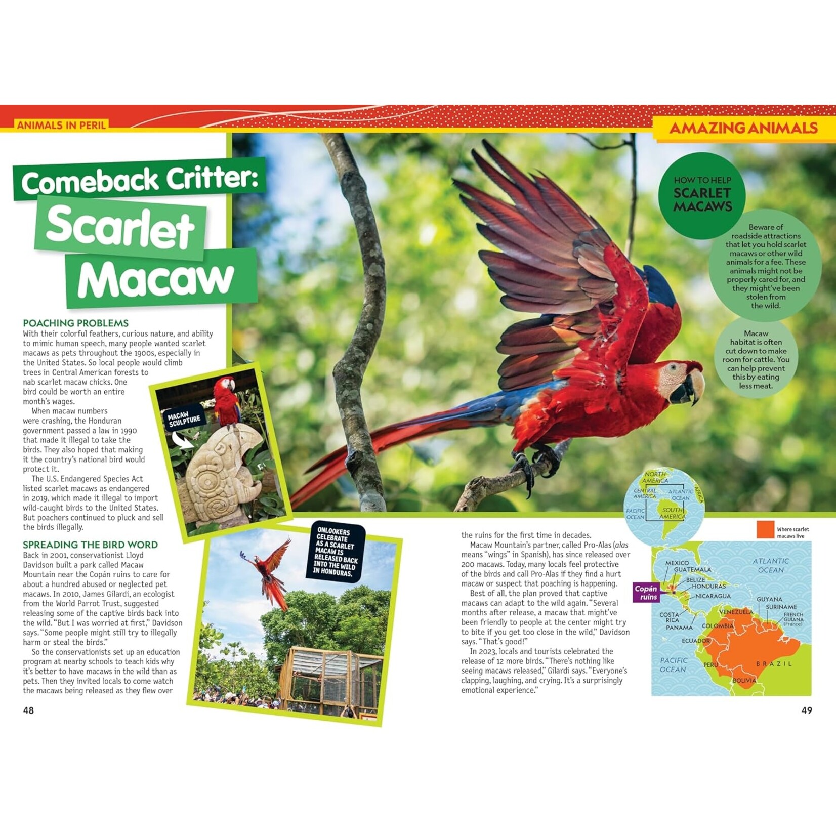 National Geographic Kids National Geographic Kids Almanac 2026