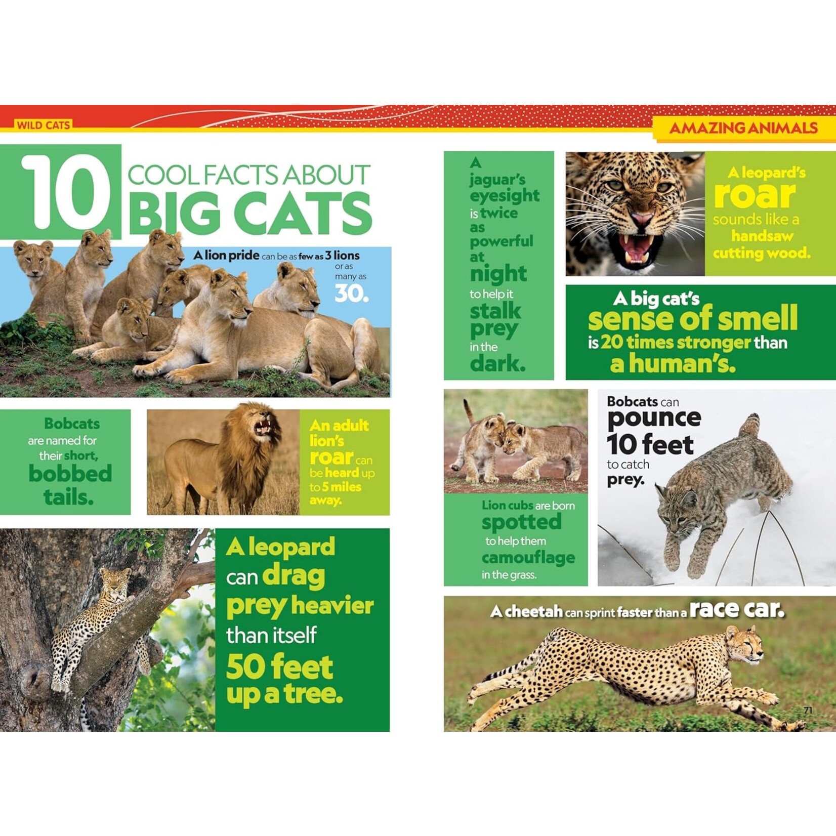 National Geographic Kids National Geographic Kids Almanac 2026