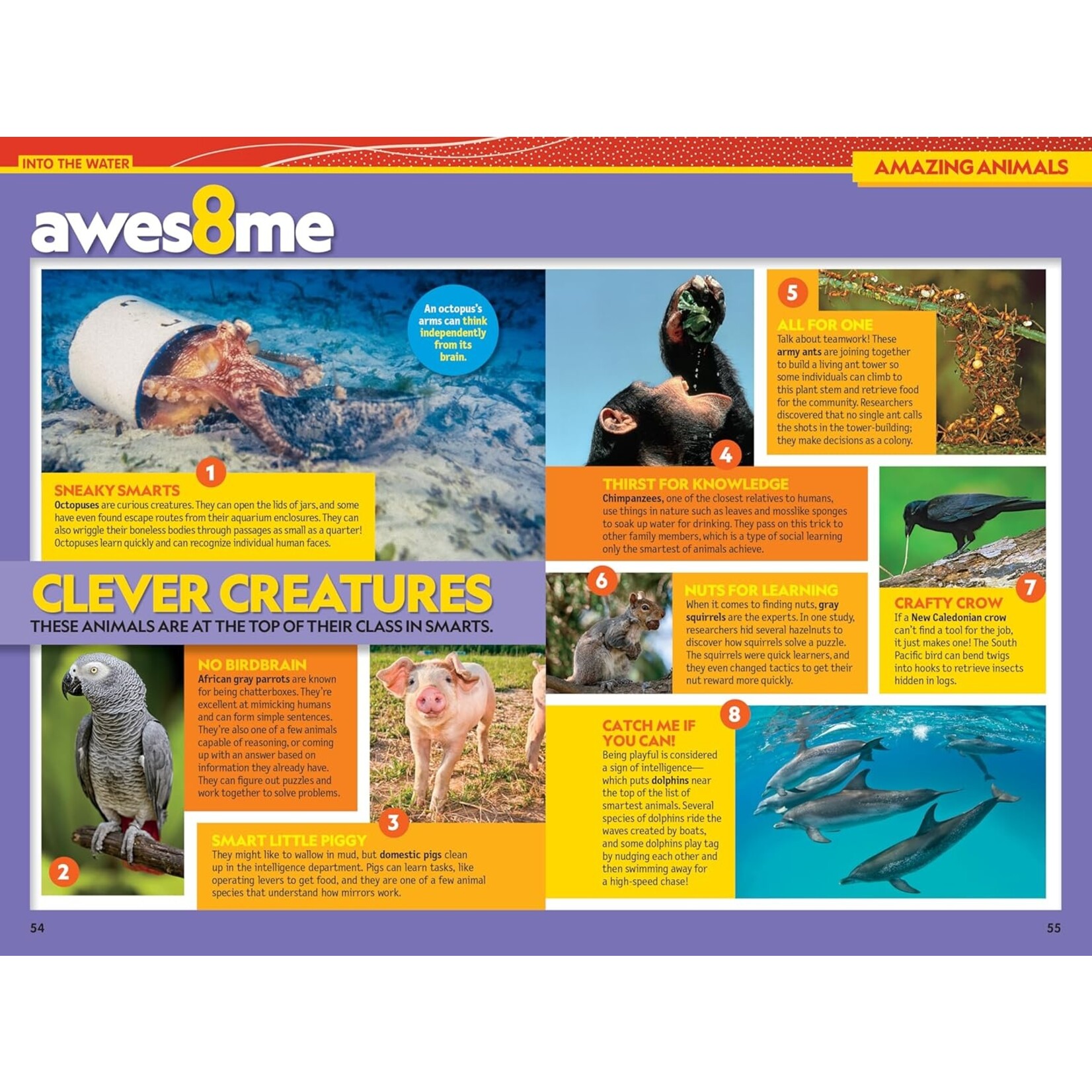 National Geographic Kids National Geographic Kids Almanac 2026