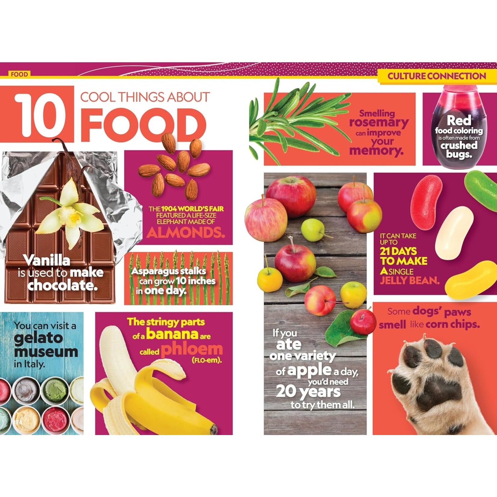 National Geographic Kids National Geographic Kids Almanac 2026