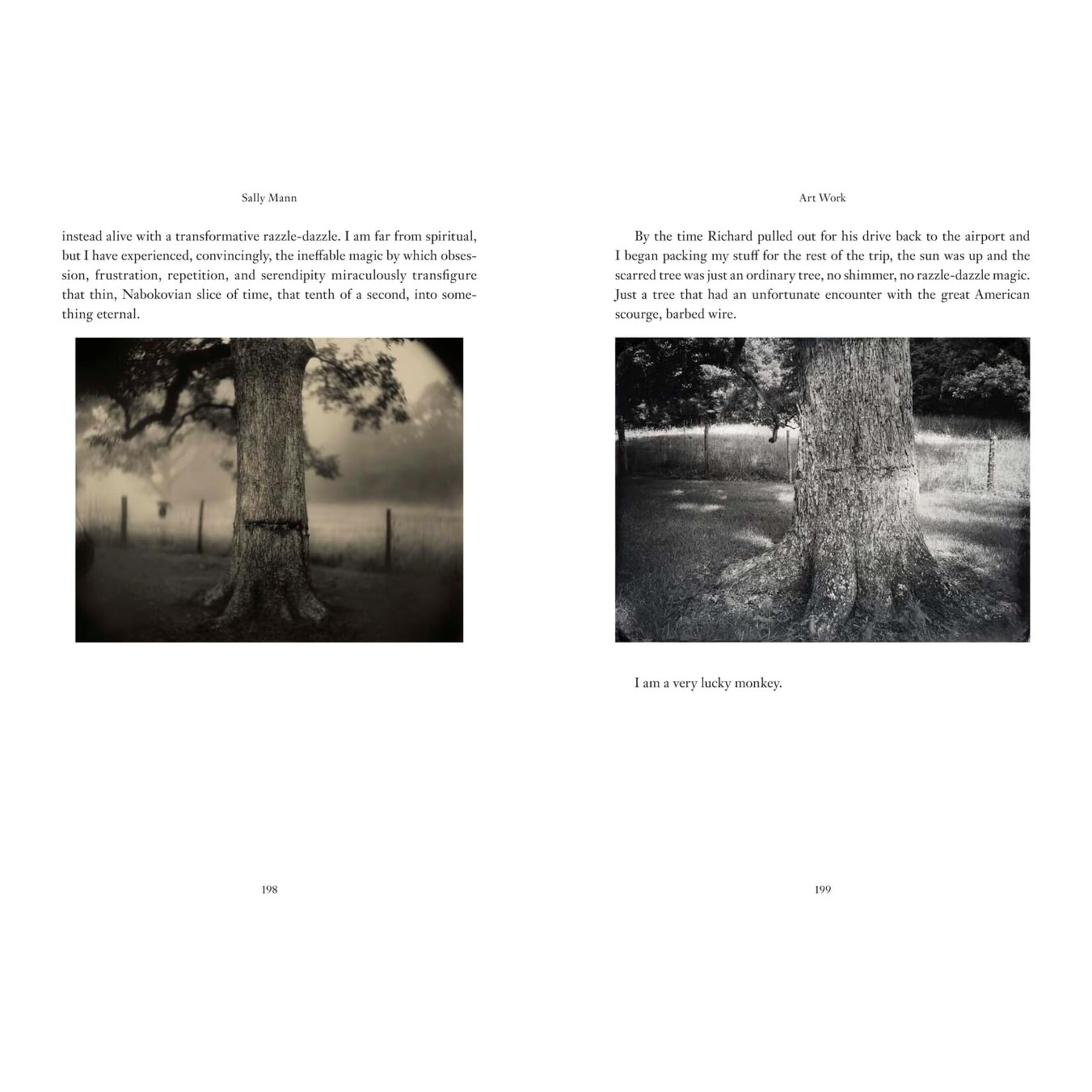 Art Work: On the Creative Life