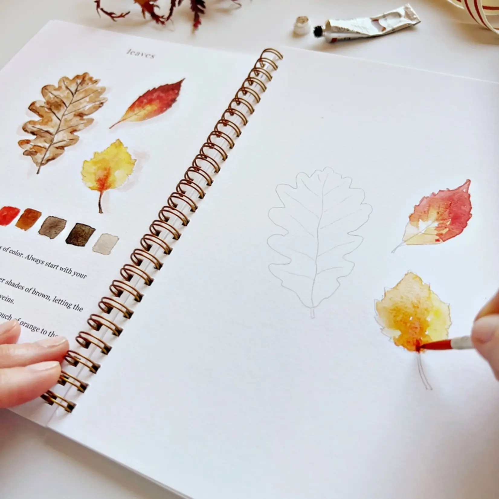 emily lex studio Autumn Watercolor Workbook