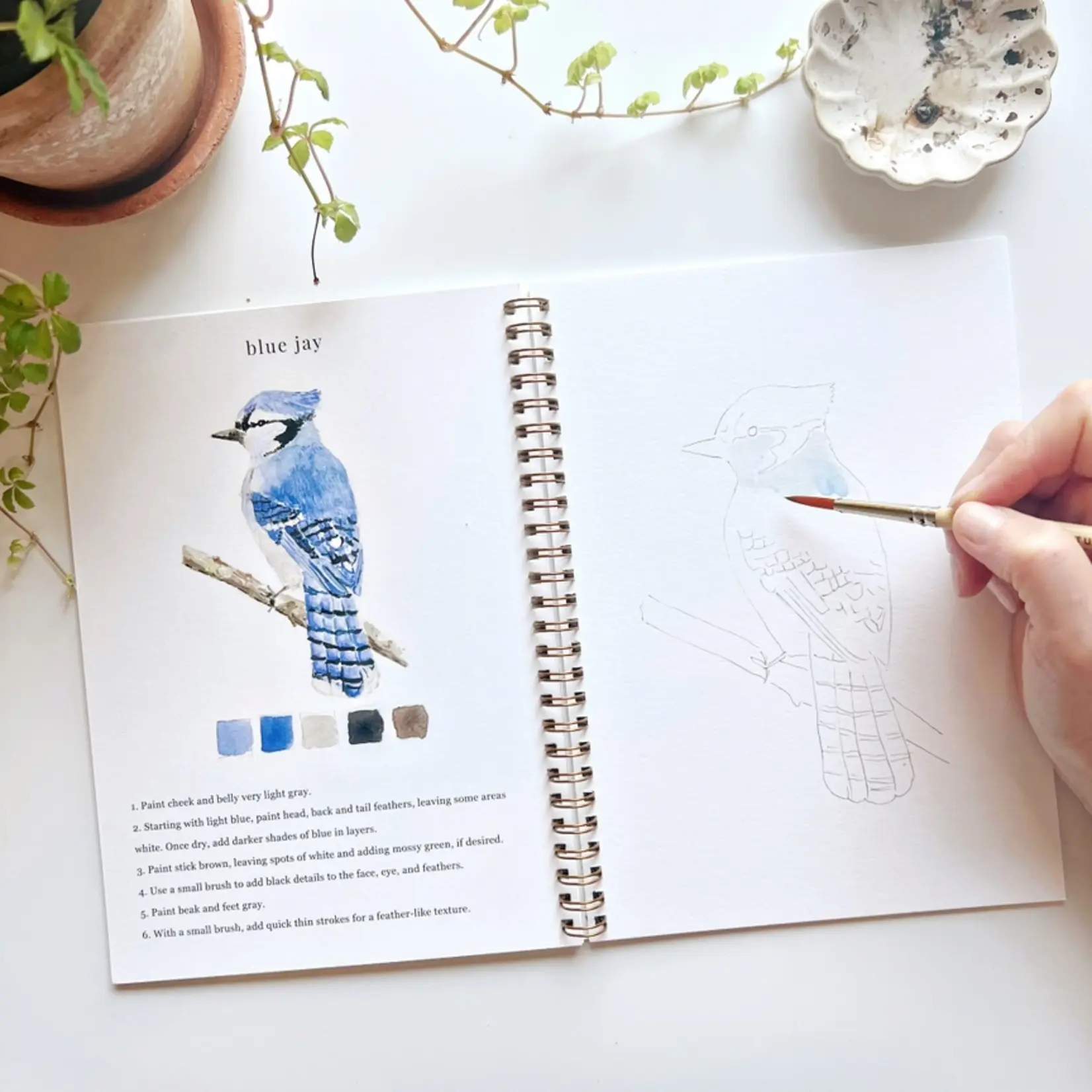 emily lex studio Birds Watercolor Workbook
