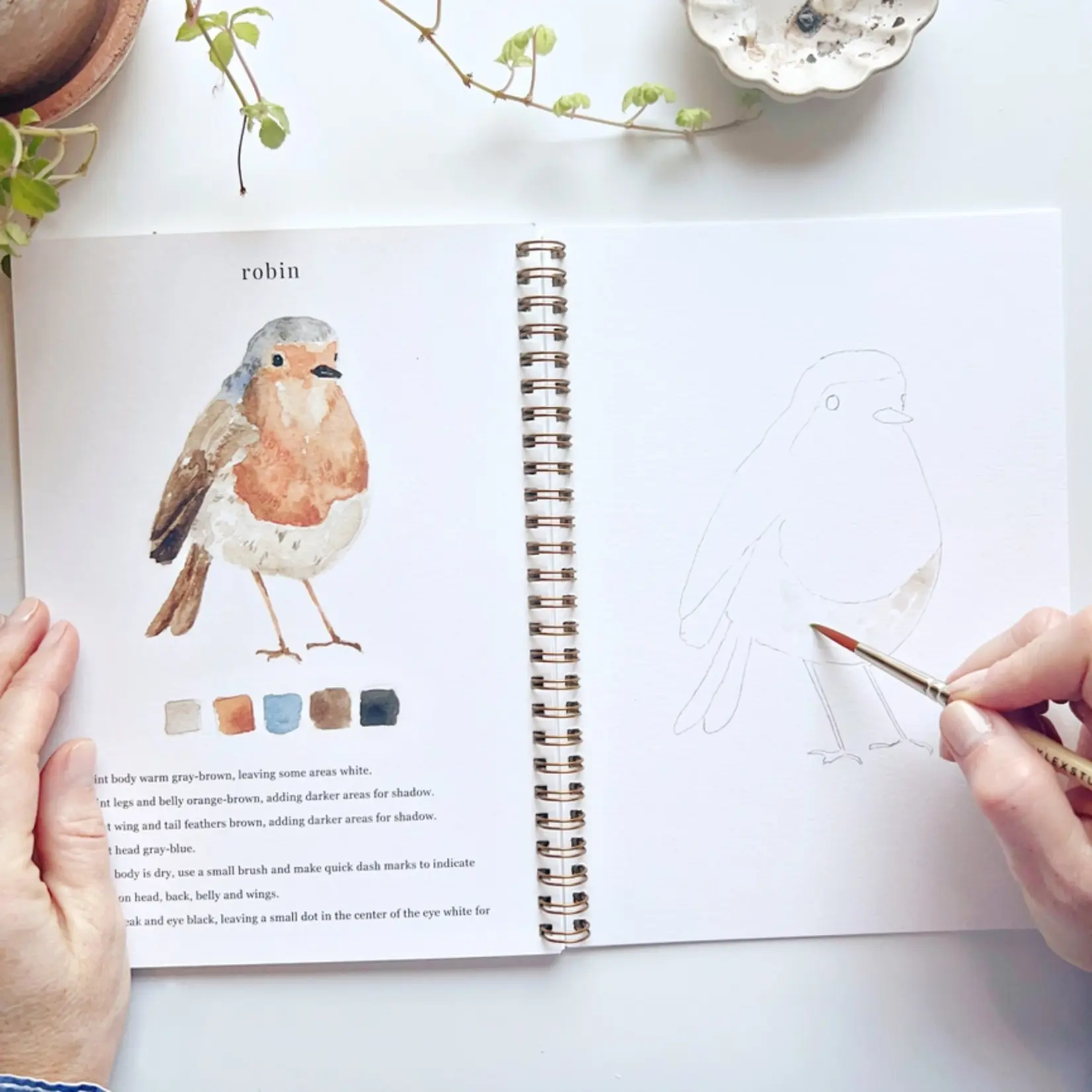 emily lex studio Birds Watercolor Workbook