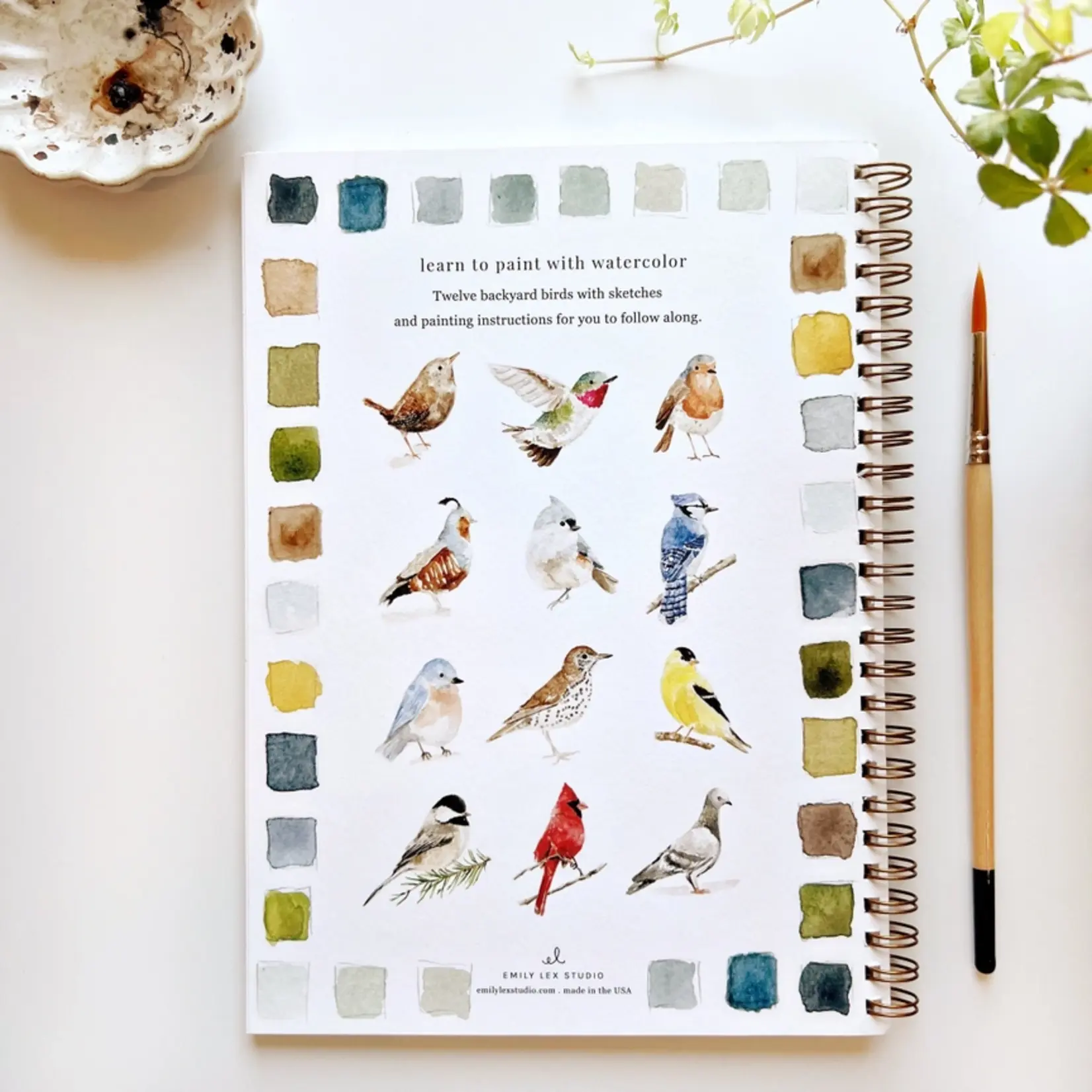 emily lex studio Birds Watercolor Workbook