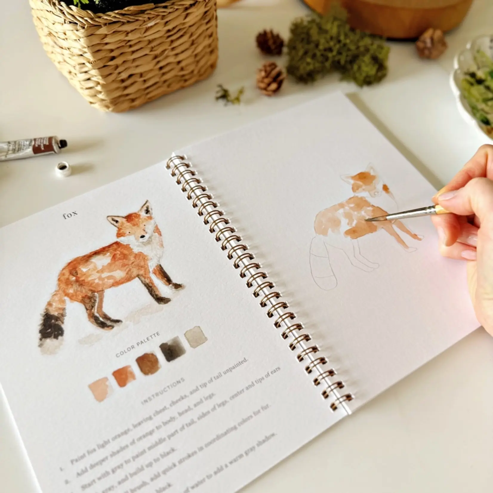 emily lex studio Woodland Watercolor Workbook