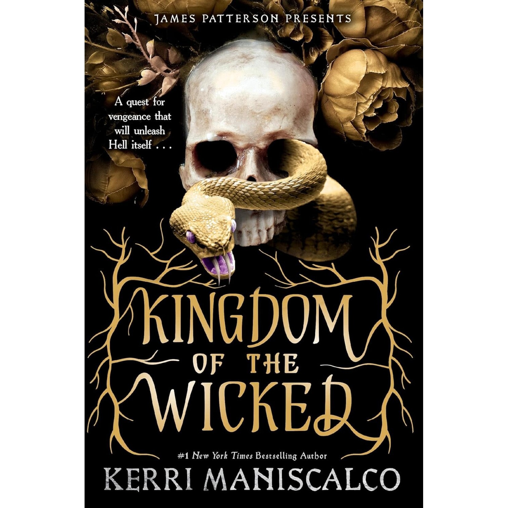 Jimmy Patterson Kingdom of the Wicked