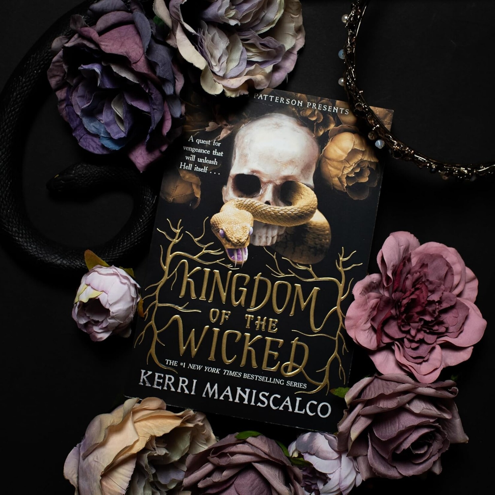 Jimmy Patterson Kingdom of the Wicked